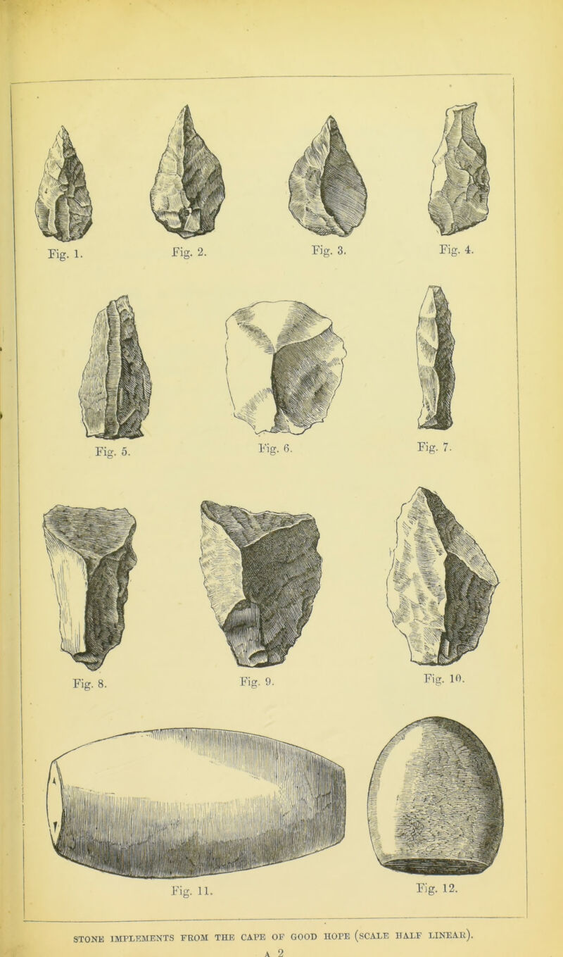 Fig. 1. Fig. 5. Fig. 6. Fig. 7- Fig. 8. Fig. 9. Fig. 10. Fig. 11. Fig. 12. IMPLEMENTS FROM THE CAPE OF GOOD HOPE (SCALE HALF LINEAR). A 2 STONE