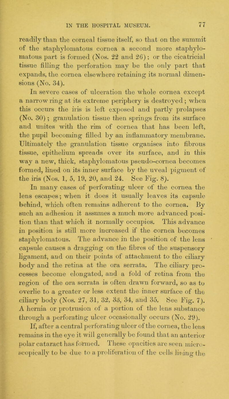 readily than the corneal tissue itself, so that on the summit of the staphylomatous cornea a second more staphylo- matous part is formed (Nos. 22 and 26); or the cicatricial tissue tilling the perforation may be the only part that expands, the cornea elsewhere retaining its normal dimen- sions (No, 34). In severe cases of ulceration the whole cornea except a narrow ring at its extreme periphery is destroyed; when this occurs the iris is left exposed aud partly prolapses (No, 30); granulation tissue then springs from its surface and unites with the rim of cornea that has been left, the pupil becoming filled by an inflammatory membrane. Ultimatelj’ the gi’anulation tissue organises into fibrous tissue, epithelium spreads over its surface, and in this way a new, thick, staphylomatous pseudo-cornea becomes formed, lined on its inner surface by the uveal pigment of the iris (Nos. 1, 5, 19, 20, and 24, See Fig. 8). In many cases of perforating ulcer of the cornea the lens escapes; when it does it usually leaves its capsule behind, which often remains adherent to the cornea. By such an adhesion it assumes a much more advanced posi- tion than that which it normally occupies. Tins advance in position is still more increased if the cornea becomes staphylomatous. The advance in the position of the lens capsule causes a dragging on tiie fibres of the suspensory ligament, aud on their points of attachment to the ciliary body and the retina at the ora serrata. The ciliary pro- cesses become elongated, and a fold of retina from the region of the ora serrata is often drawn forward, so as to overlie to a greater or less extent the inner surface of the ciliary body (Nos. 27, 31, 32, 33, 34, and 35. Bee Fig. 7). A hernia or protrusion of a portion of the lens substance through a perforating ulcer occasionally occurs (No, 29). If, after a central perforating ulcer of the cornea, the lens remains in the eye it will generally be found that an anterior polar cataract has fiu-med. These opacities are seen )uier( i- scopically to be due to a proliferation of the cells lit'.ing (he