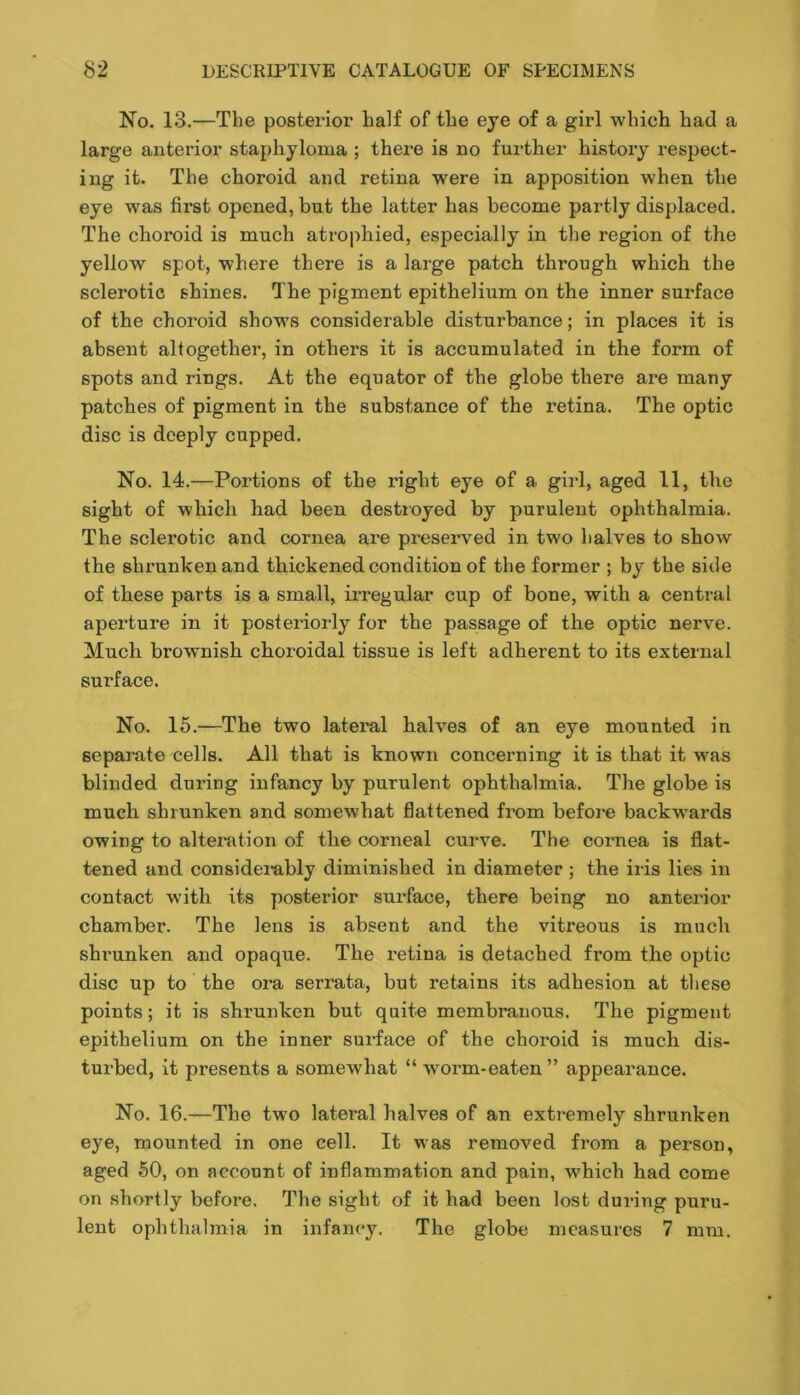 No. 13.—The posterior half of the eye of a girl which had a large anterior staphyloma ; there is no further history respect- ing it. The choroid and retina were in apposition when the eye was first opened, but the latter has become partly displaced. The choroid is much atrophied, especially in the region of the yellow spot, where there is a large patch through which the sclerotic shines. The pigment epithelium on the inner surface of the choroid shows considerable disturbance; in places it is absent altogether, in others it is accumulated in the form of spots and rings. At the equator of the globe there are many patches of pigment in the substance of the retina. The optic disc is deeply cupped. No. 14.—Portions of the right eye of a girl, aged 11, the sight of which had been destioyed by purulent ophthalmia. The sclerotic and cornea are preserved in two halves to show the shrunken and thickened condition of the former ; by the side of these parts is a small, irregular cup of bone, with a central aperture in it posteriorly for the passage of the optic nerve. Much brownish choroidal tissue is left adherent to its external surface. No. 15.—The two lateral halves of an eye mounted in separate cells. All that is known concerning it is that it was blinded during infancy by purulent ophthalmia. The globe is much shrunken and somewhat flattened from before backwards owing to alteration of the corneal curve. The cornea is flat- tened and considerably diminished in diameter ; the iris lies in contact with its posterior sui*face, there being no anterior chamber. The lens is absent and the vitreous is much shrunken and opaque. The retina is detached from the optic disc up to the ora serrata, but retains its adhesion at these points; it is shrunken but quite membranous. The pigment epithelium on the inner suiTace of the choroid is much dis- turbed, it presents a somewhat “ worm-eaten ” appearance. No. 16.—The two lateral halves of an extremely shrunken eye, mounted in one cell. It was removed from a person, aged 50, on account of inflammation and pain, which had come on shortly before. The sight of it had been lost during puru- lent ophthalmia in infancy. The globe measures 7 mm.
