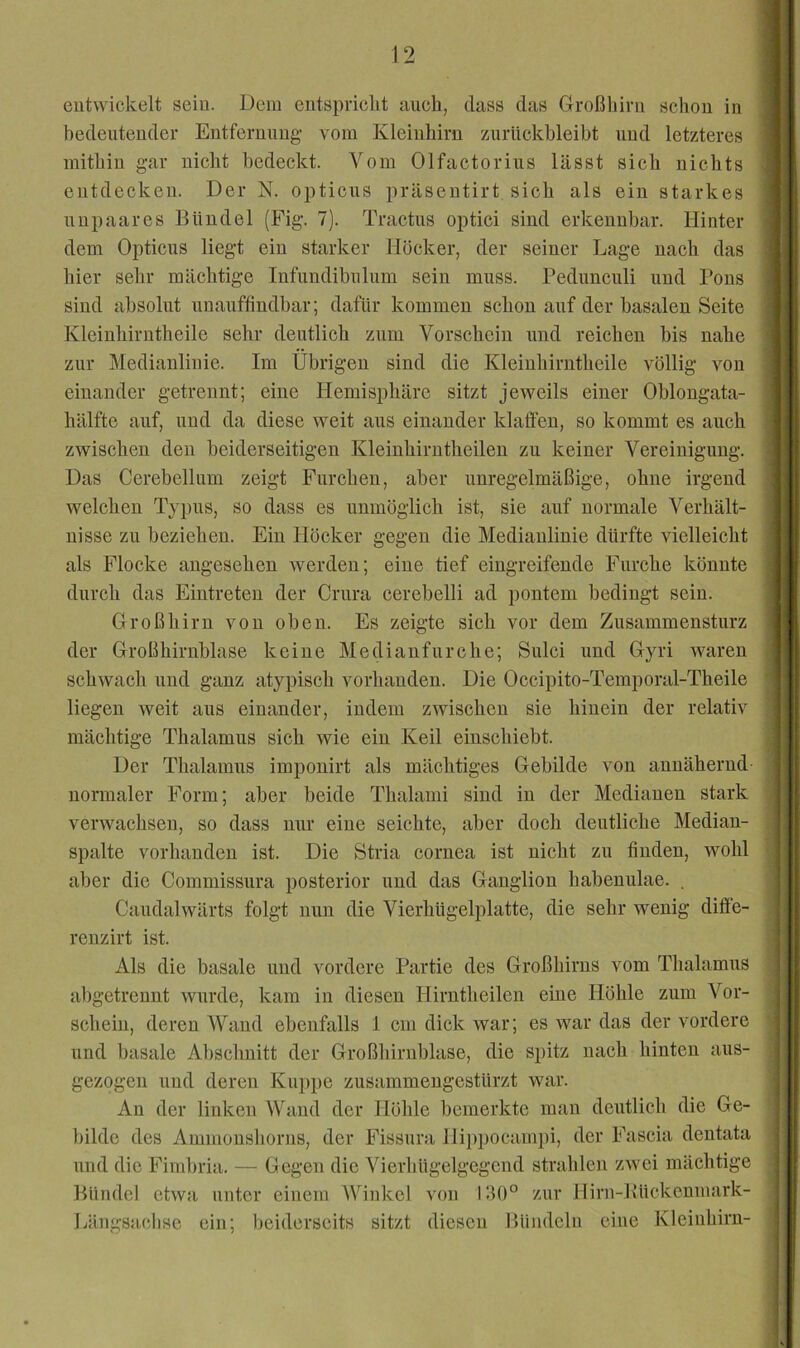 entwickelt sein. Dem entspriclit auch, dass das Großliirn schon in ^ bedeutender Entfernnng vom Kleinhirn zurnckbleibt nnd letzteres ' > mithin gar nicht bedeckt. Vom Olfactorins lässt sich nichts ^ entdecken. Der N. optiens präsentirt sich als ein starkes | nnpaares Bündel (Fig. 7). Tractus optici sind erkennbar. Hinter dem Opticus liegt ein starker Höcker, der seiner Lage nach das | hier sehr mächtige Infnndibiilum sein muss. Pednnculi nnd Pons sind absolut nnauffindbar; dafür kommen schon auf der basalen Seite ' ; Kleinhirntheile sehr deutlich zum Vorschein nnd reichen bis nahe | i zur Medianlinie. Im Übrigen sind die Kleinhirntheile völlig von [ einander getrennt; eine Hemisphäre sitzt jeweils einer Oblongata- 1 hälfte auf, und da diese weit ans einander klatfeu, so kommt es auch | zwischen den beiderseitigen Kleinhirntheilen zu keiner Vereinigung. | Das Cerebellum zeigt Furchen, aber unregelmäßige, ohne irgend ' welchen Typus, so dass es unmöglich ist, sie auf normale Verhält- nisse zu beziehen. Ein Plöcker gegen die Medianlinie dürfte vielleicht als Flocke angesehen werden; eine tief eingreifende Furche könnte durch das Eintreten der Crnra cerebelli ad pontem bedingt sein. Großhirn von oben. Es zeigte sich vor dem Zusammensturz der Großhirnblase keine Medianfnrche; Sulci und Gyri waren schwach nnd ganz atypisch vorhanden. Die Occipito-Temporal-Theile liegen weit aus einander, indem zwischen sie hinein der relativ mächtige Thalamus sich wie ein Keil einschiebt. Der Thalamus imponirt als mächtiges Gebilde von annähernd normaler Form; aber beide Thalami sind in der Medianen stark verwachsen, so dass nur eine seichte, aber doch deutliche Median- spalte vorhanden ist. Die Stria cornea ist nicht zu finden, wohl aber die Commissnra posterior nnd das Ganglion habenulae. . Caudalwärts folgt nun die Vierhügelplatte, die sehr wenig diflfe- reuzirt ist. Als die basale und vordere Partie des Großhirns vom Thalamus al)getrennt wurde, kam in diesen Hirntheilen eine Höhle zum Vor- schein, deren AVaud ebenfalls 1 cm dick war; es war das der vordere nnd basale Abschnitt der Großhirnblase, die spitz nach hinten ans- gezogen und deren Kni)pe zusammeugestürzt war. Au der linken Wand der Höhle bemerkte man deutlich die Ge- . j bilde des Ammonshorns, der Fissnra llippocam})!, der Fascia dentata ^ | nnd die Fimbria. — Gegen die Vierhügelgegend strahlen zwei mächtige L ! Bündel etwa unter einem AVinkel von LU)° zur Hirn-llückeumark- -j I Längsachse ein; beiderseits sitzt diesen Bündeln eine Kleinhirn- !!