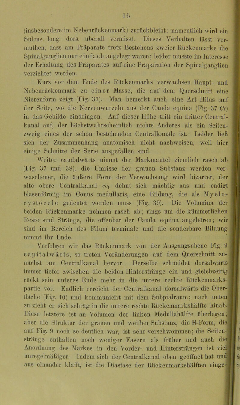 (insbesondere im Nebenrückenmark) zurückbleibt; namcntlicb wird ein Sulcus, long. dors. überall vermisst. Dieses Verlialteu lässt ver- mutlieu, dass am Präparate trotz Bestehens zweier Bückenmarke die Spinalgangdien nur einfach angelegt waren; leider musste im Interesse der Erhaltung des Präparates auf eine Präparation der Spinalganglien verzichtet werden. Kurz vor dem Ende des Rückenmarks verwachsen Haupt- und Nebenrückenmark zu einer Masse, die auf dem Querschnitt eine Nierenform zeigt (Fig. 37). Man bemerkt auch eine Art Hilus auf der Seite, wo die Nervenwurzeln aus der Cauda equiua (Fig. 37 Ce) in das Gebilde eindriugen. Auf dieser Höhe tritt ein dritter Central- kanal auf, der höchstwahrscheinlich nichts Anderes als ein Seiten- zweig eines der schon bestehenden Centralkanäle ist. Leider ließ weil hier sich der Zusammenhang anatomisch nicht nachweisen, einige Schnitte der Serie ausgefallen sind. Weiter caudalwärts nimmt der Markmantel ziemlich rasch ab (Fig. 37 und 38), die Umrisse der grauen Substanz werden ver- waschener, die äußere Form der Verwachsung wird bizarrer, der alte obere Centralkanal rc, dehnt sich mächtig aus und endigt blasenförmig im Conus medullaris, eine Bildung, die als Myelo- cystocele gedeutet werden muss (Fig. 39). Die Volumina der beiden Rückenmarke nehmen rasch ab; rings um die kümmerlichen Reste sind Stränge, die oifenbar der Cauda equiua angehören; wir sind im Bereich des Filum terminale und die sonderbare Bildung nimmt ihr Ende. Verfolgen wir das Rückenmark von der Ausgangsebene Fig. 9 Capitalwärts, so treten Veränderungen auf dem Querschnitt zu- nächst am Ceutralkanal hervor. Derselbe schneidet dorsalwärts immer tiefer zwischen die beiden Hinterstränge ein und gleichzeitig rückt sein unteres Ende mehr in die untere rechte Rückeumarks- l)artie vor. Endlich erreicht der Centralkanal dorsalwärts die Ober- fläche (Fig. 10) und kommunicirt mit dem Subpialraum; nach unten zu zieht er sich schräg in die untere rechte Rückenmarkshälfte hiuah. Diese letztere ist an Volumen der linken Medullahälfte überlegen; aber die Stinktur der grauen und weißen Substanz, die H-Form, die auf Fig. 9 noch so deutlich war, ist sehr verschwommen; die Seiteu-i stränge enthalten noch weniger Fasern als früher und auch die Anordnung des Markes in den Vorder- und Hintersträngen ist viellj| unregelmäßiger. Indem sich der Centralkanal oben geöffnet hat und | aus einander klafft, ist die Diastase der Rückeumarkshälften einge-^ij i I: