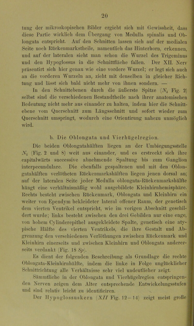 timg der mikroskopisclieu Bilder ergiel)t sich mit Gewissheit, dass diese Partie wirklich dem Übergang von Medulhi spinalis und Oh- longata entspricht. Auf den Schnitten lassen sich auf der medialen Seite noch Rückenmarkstheile, namentlich das Hinterhorn, erkennen, und auf der lateralen sieht man schon die Wurzel des Trigeminus und den Hypoglossus in die Schnittfläche fallen. Der XII. Nerv präsentirt sich hier genau wie eine vordere Wurzel; er legt sich auch an die vorderen Wurzeln an, zieht mit denselben in gleicher Rich- tung und lässt sich bald nicht mehr von ihnen sondern. — In den Schnittehenen durch die äußerste Spitze (A^4 Fig. 2) selbst sind die verschiedenen Bestandtheile nach ihrer anatomischen Bedeutung nicht mehr aus einander zu halten, indem hier die Schnitt- ebene vom Querschnitt zum Längsschnitt und sofort wieder zum Querschnitt umspringt, wodurch eine Orientirung nahezu unmöglich wird. h. Die Oblongata und Vierhügelregion. Die beiden Oblongatahälften liegen an der Umbiegiingsstelle Ni (Fig. 2 und 8) weit aus einander, und es erstreckt sich ihre capitalwärts successive abnehmende Spaltung bis zum Ganglion interpecundulare. Die ebenfalls gespaltenen und mit den Ohlon- gatahälften verlötheten Rückenmarkshälften liegen jenen dorsal an; auf der lateralen Seite jeder Medulla oblongata-Rückenmarkshälfte hängt eine verhältnismäßig wohl ausgehildete Kleinhirnhemisphäre. Rechts besteht zwischen Rückenmark, Oblongata und Kleinhirn ein weiter von Ependym bekleideter lateral offener Raum, der genetisch dem vierten Ventrikel entspricht, wie im vorigen Abschnitt geschil- dert wurde; links besteht zwischen den drei Gebilden nur eine enge, von hohem Cylinderepithel ausgekleidete Spalte, genetisch eine aty- pische Hälfte des vierten Ventrikels, die ihre Gestalt und Ab- grenzung den verschiedenen Verlöthungen zwischen Rückenmark und Kleinhirn einerseits und zwischen Kleinhirn und Oblongata anderer- seits verdankt (Fig. 18 Sp). Es dient der folgenden Beschreibung als Grundlage die rechte Ohlongata-Kleinhirnhälfte, indem die linke in Folge unglücklicher Schnittrichtung alle Verhältnisse sehr viel undeutlicher zeigt. Sämmtliche in der Oblongata und Vierhügelregion entspringen- den Nerven zeigen dem Alter ents])recliende Entwickelungsstufen und sind relativ leicht zu identificiren. Der Hyj)oglossuskeru (X//Fig. 12-M) zeigt meist große