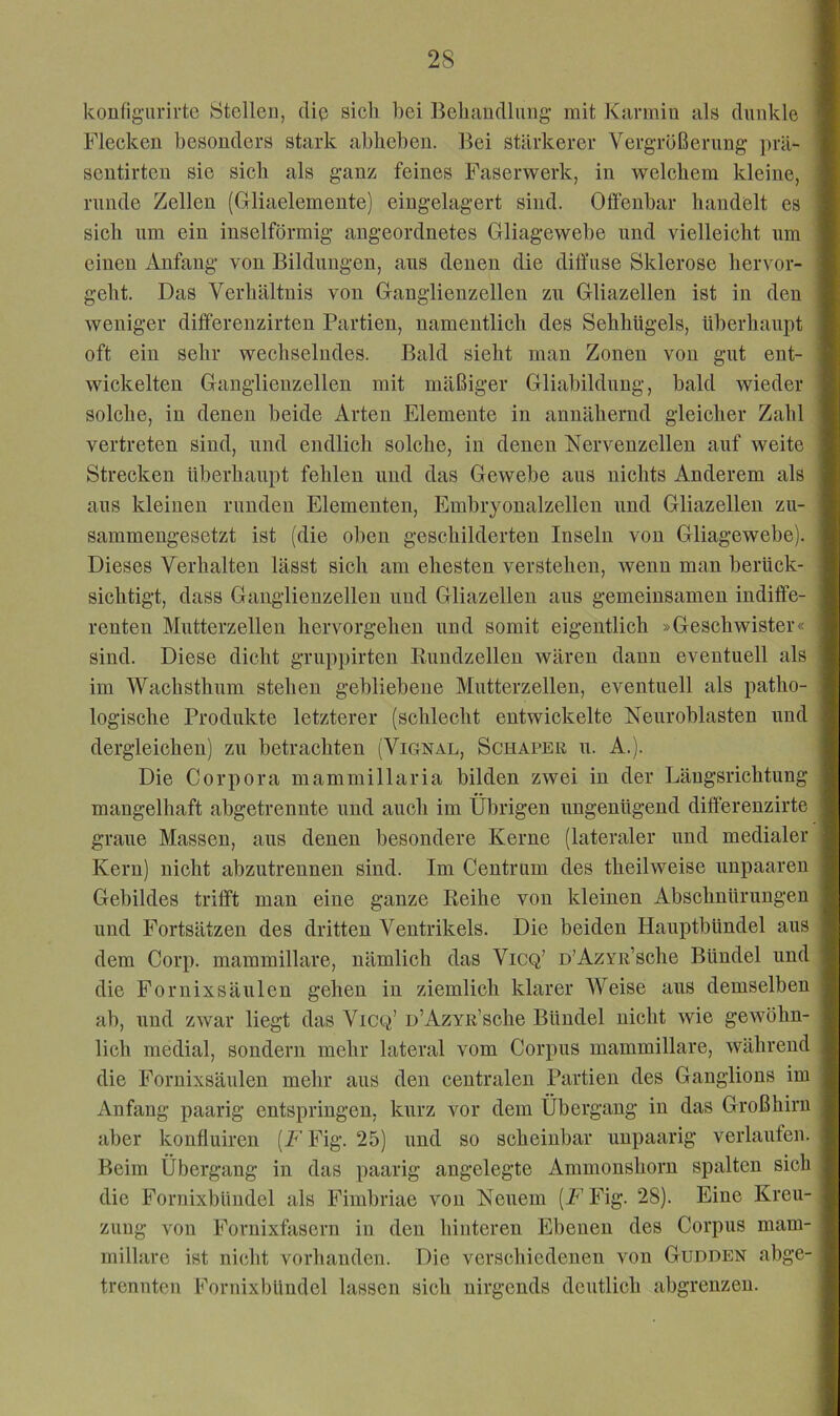 koufigurirtc Stelleu, dip sich bei Behandlung mit Karmin als dunkle Flecken besonders stark abheben. Bei stärkerer Vergrößerung prä- sentirteu sie sich als ganz feines Faserwerk, in welchem kleine, runde Zellen (Gliaelemente) eingelagert sind. Offenbar handelt es sich um ein iuselförmig angeordnetes Gliagewebe und vielleicht um einen Anfang von Bildungen, ans denen die diffuse Sklerose hervor- geht. Das Verhältnis von Ganglienzellen zu Gliazellen ist in den weniger differeuzirten Partien, namentlich des Sehhügels, überhaupt oft ein sehr wechselndes. Bald sieht man Zonen von gut ent- wickelten Ganglienzellen mit mäßiger Gliabildung, bald wieder solche, in denen beide Arten Elemente in annähernd gleicher Zahl vertreten sind, und endlich solche, in denen Nervenzellen auf weite Strecken überhaupt fehlen und das Gewebe aus nichts Anderem als aus kleinen runden Elementen, Embryonalzellen und Gliazellen zu- sammengesetzt ist (die oben geschilderten Inseln von Gliagewebe). Dieses Verhalten lässt sich am ehesten verstehen, Avenu man berück- sichtigt, dass Ganglienzellen und Gliazellen ans gemeinsamen indiffe- renten Mutterzellen hervorgeheu und somit eigentlich »Geschwister« sind. Diese dicht gruppirten Enudzellen wären dann eventuell als im Wachsthum stehen gebliebene Mutterzellen, eventuell als patho- logische Produkte letzterer (schlecht entwickelte Neuroblasten und dergleichen) zu betrachten (Vignal, Schäfer u. A.). Die Corpora mammillaria bilden zwei in der Längsrichtung mangelhaft abgetrennte und auch im Übrigen ungenügend dififerenzirte graue Massen, aus denen besondere Kerne (lateraler und medialer Kern) nicht abzutrennen sind. Im Centrum des theilweise unpaaren Gebildes trifft man eine ganze Reihe von kleinen Abschnürungen und Fortsätzen des dritten Ventrikels. Die beiden Hauptbündel aus dem Corp. mammillare, nämlich das Vicq’ D’AzYR’sche Bündel und die Fornixsäulen gehen in ziemlich klarer Weise aus demselben ab, und zwar liegt das Vicq’ D’AzvR’sche Bündel nicht wie gewöhn- lich medial, sondern mehr lateral vom Corpus mammillare, während die Fornixsäulen mehr aus den centralen Partien des Ganglions im x\nfang paarig entspringen, kurz vor dem Übergang in das Großhirn aber konfluiren [F Fig. 25) und so scheinbar unpaarig verlaufen. Beim Übergang in das paarig angelegte Ammonshorn spalten sich die Fornixbündel als Fimbriae von Neuem [F Fig. 28). Eine Kreu- zung von Fornixfasern in den hinteren Ebenen des Corpus mam- millare ist nicht vorhanden. Die verschiedenen von Gudden abge- trennten Fornixbündel lassen sich nirgends deutlich abgrenzen.
