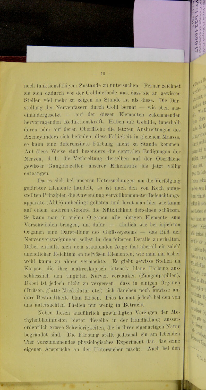 ilücli funkiionsfäliigem Zustande zu mitersudieii. Ferner zeichnet sie sicli dadurch vor der Goldiuethode aus, dass sie an gewissen Stellen viel mehr zu zeigen im Staude ist als diese. Die Dar- stellung der Nervenfasern durch Gold beruht — Avie oben aus- einaudergesetzt — auf der diesen Elementen zukommenden hervorragenden lleduktionskraft. Haben die Gebilde, innerhalb deren oder auf deren Oberfläche die letzten Ausbreitungen des Axencylinders sich beflnden, diese Fähigkeit in gleichem Maasse, so kann eine diflerenziirte Färbung nicht zn Stande kommen. Ant diese Weise sind besonders die centialen Endigungen der Nerven, d. h. die Verbreitung derselben auf der Oberfläche gewisser Ganglienzellen unserer Erkenntnis bis jetzt völlig entgangen. Da es sich bei unseren Untersuchungen um die Verfolgung gefärbter Elemente handelt, so ist nach den A'on Koch aufge- stellten Prinzipien die Anwendung vervollkommueter Beleuchtungs- apparate (Abbe) unbedingt geboten und lernt man hier Avie kaum auf einem anderen Gebiete die Nützlichkeit derselben schätzen. ^0 kann man in AÜelen Oi'ganen alle übrigen Elemente znm Vei'schwinden bringen, um dafür — ähnlich AAue bei injicirten Organen eine Darstellung des Gefässsystems — das Bild der NervenverzAveigungen seihst in den feinsten Details zu erhalten. Dabei enthüllt sich dem staunenden Auge fast überall ein solch’ unendlicher Reichtum an nervösen Elementen, Avie man ihn bisher AA'ohl kaum zu ahnen vermochte. Es giebt geAvisse Stellen im Körper, die ihre makroskopisch intensiv blaue Färbung aus- schliesslich den tingirten Nerven verdanken (Zungenpapillen). Dabei ist jedoch nicht zu vergessen, dass in einigen Organen (Drüsen, glatte Mnskulatui' etc.) sich daneben noch geAvisse an- dere Bestandtheilc blau färben. Dies kommt jedoch bei den von uns untersucliten Theilen nur Avenig in Betracht. Neben diesen ausfülnlich geAVürdigten Vorzügen der Me- thylenblauinfiision bietet dieselbe in der Handhabung ausser- ordentlich grosse ScliAvierigkeiten, die in ihrer eigenartigen Natur l)egründet sind. Die Färbung stellt jedesmal ein am lebenden Tier vorzunehmendes physiologisches Experiment dar, das seine eigenen Ansprüche an den Untersucher macht. Audi bei den