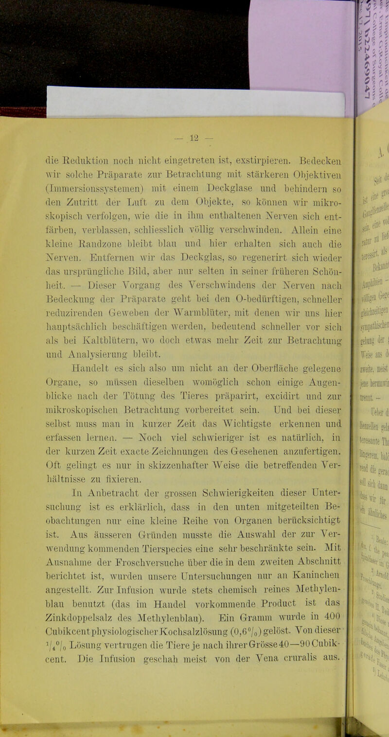 die Eeduktioii noch nicht eingetreten ist, exstirpieren. Bedecken Avir solche Präparate zur Betraclitnng mit stärkeren 01)jektiven (Immersionssj'stenien) mit einem Deckglase und behindern so den Zutritt der Tiuft zu dem Objekte, so können wir mikro- skopisch verfolgen, wie die in ihm enthaltenen Nerven sich ent- färben, verblassen, schliesslich völlig vers(diwinden. Allein eine kleine Bandzone bleibt blau und hier erhalten sich auch die Nerven. Entfernen wir das Deckglas, so regenerirt sich wieder das ursprüngliche Bild, aber nur selten in seiner früheren Schön- heit. — Dieser Vorgang des Verschwindens der Nerven nach Bedeckung der Präparate geht bei den 0-bedürftigen, schneller reduzirenden Geweben der Warmblüter, mit denen wir uns hier hauptsächlich heschäftigeu werden, bedeutend schneller vor sich als bei Kaltblütern, wo doch etwas mehr Zeit zur Betrachtung und Analysierung bleibt. Handelt es sich also um nicht an der Oberfläche gelegene Organe, so müssen dieselben womöglich schon einige Augen- blicke nach der Tötung des Tieres präparirt, excidirt und zur mikroskopischen Betrachtung vorbereitet sein. Und bei dieser selbst muss man in kurzer Zeit das AVichtigste erkennen und erfassen lernen. — Noch viel schwieriger ist es natürlich, in der kurzen Zeit exacte Zeichnungen des Gesehenen anzufertigen. Oft gelingt es nur in skizzenhafter AVeise die betreffenden A^er- hältnisse zu fixieren. In Anbetracht der grossen Schwierigkeiten dieser Unter- suchung ist es erklärlich, dass in den unten mitgeteilten Be- obachtungen nur eine kleine Beihe von Organen berücksichtigt ist. Aus äusseren Gründen musste die Auswahl der zur A^er- Avendung kommenden Tierspecies eine sehr beschränkte sein. Alit Ausnahme der Froschversuche über die in dem zweiten Abschnitt. berichtet ist, wurden unsere Untersuchungen nur au Kaninchen angestellt. Zur Infusion wurde stets chemisch reines Alethylen- blau benutzt (das im Handel Amrkommende Product ist das Zinkdoppelsalz des Alethylenblau). Ein Gramm wurde in 400 Cubikcent physiologischer Kochsalzlösung (0,6°/o) gelöst. Von dieser ’/4°/o Lösung vertrugen die Tiere je nach ihrer Grösse 40—OüCubik- cent. Die Infusion geschah meist von der A^ena cruralis aus. .1' seil i'Ti« ist .iii. ein? ratiir zß Üefi lf w l A irlflii'll f'jnupaiub'.ucu ,gel)M2 dä' t zrate. meist jei tremits - fetter di lieozellen ?ela teressante Tlt !|läi?erem, bald l'rend die ^erac daiiü LUviriir ebes pea: I iir G r ö'-< •'>«511 , .U'fcil f. (S«n( 'V