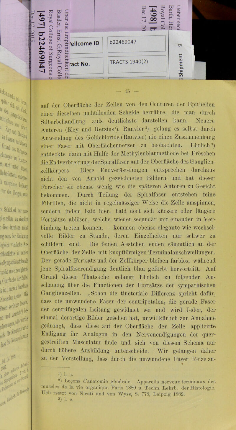 O“ o^ 70 o E- n ?r OQ ni 2. > C/5 O ÖQ IX n> ~4 3 CD b3 CU o. o 3 c CT O ■-t c. o rr 3 ■CT o -77 PO CD m 4^ o g - —' n X tsj _ o ?r O “ o 77 O £L n o_ ö CT 'ellcome ID CT C. b22469047 o ^ract No. a- Ci TRACTS 1940(2) C <T) CT ft C/2 ft o CTl C (U E Q. lE to Scikisäl ier nti- [lieiizellen zi ziemlicli ’ h (lurciiaos Dieit iiigresp.ilerM?!? ibgleicli Äk k- riiSeiitlÄe in sdieii esSvmpatliicnskifeiik tstehtaoseiw?'* Inneren ^adeöliiä netoe- Bis «l''' .V l;*-’ -wre“ f . ->er -r,A# '■ - Kiiji tix‘- ; i' 4‘ 2'- ...jiri*' liiiF''’ iii-'*' — 15 — auf der Oberfläclie der Zellen von den Oonturen der Epitlielien einer dieselben innliUllenden Scheide herrühre, die man durch Silberbeliandlung aufs deutlichste darstellen kann. Neuere Autoren (Key und Ketzins^'), Kanvier-) gelang es selbst durch Anwendung des Goldchlorids (Kanvier) nie einen Zusammenhang einer Faser mit Oberflächennetzen zu beobachten. Ehrlich^) entdeckte dann mit Hülfe der Methylenblaumethode bei Fröschen ■ die Endverbreitung der Spiraltäser auf der Oberfläche des G anglien- zellkörpers. Diese Endverästelungen entsprechen durchaus . nicht den von Arnold gezeichneten Bildern und hat dieser Forscher sie ebenso wenig wie die späteren Antoren zu Gesicht bekommen. Durch Teilung der Spiralfaser entstehen feine Fibrillen, die nicht in regelmässiger Weise die Zelle umspinnen, ■ sondern indem bald hier, bald dort sich kürzere oder längere Fortsätze ablösen, welche wieder secimdär mit einander in Ver- bindung treten können, — kommen ebenso elegante wie wechsel- volle Bilder zu Stande, deren Einzelheiten nur schwer zu schildern sind. Die feinen Aestchen enden sämmtlich an der Oberfläche dei’ Zelle mit knopfförmigen Terminalanschwellungen. Der gerade Fortsatz und der Zellkörper bleiben farblos, während ' jene Spiralfaserendigung deutlich blau gefärbt hervortritt. Auf ■ Grund dieser Thatsache gelangt Ehrlich zu folgender An- ’• schauung über die Functionen der Fortsätze der sympathischen ^ Ganglienzellen. ,,Schon die tinctoriale Dilferenz spricht dafür, dass die umwundene Faser der centripetalen, die gerade Faser der centrifngalen Leitung gewidmet sei und wird Jeder, der einmal derartige Bilder gesehen hat, unwillkürlich zur Annahme gedrängt, dass diese auf der Oberfläche der Zelle applicirte Endigung ihr Analogon in den Nervenendigungen der quer- gesti-eiften Musculatur finde und sich von diesem Schema nur durch höhere Ausbildung unterscheide. Wir gelangen daher zu der Vorstellung, dass durch die umwundene Faser Heize zu- ’) 1. c. Le9ons d anatomie g6n(h'ale. Appareils nerveux terminaux des muscles de la vie organique Paris 1880 u. Techn. Lelirb. der Histologie. Heb rsetzt von Nicati und von Wyss, S. 778, Leipzig 1882. 3) 1. c.