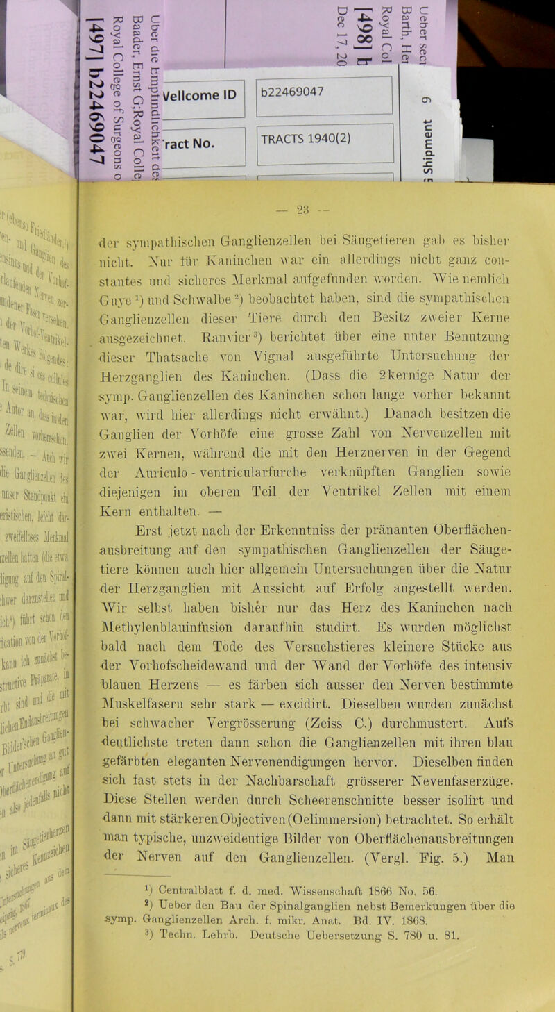 \o O“ o^ vo o o v; S- n o_ fT 00 C/2 c —! OQ m o 3 C/3 CO D3 ca G- a m 3 C/3 o B. n o_ fT c CT O —1 c. CT Royal Col [498] t Dec 17, 20 rr 3 3 G CT 3- ?^ ract No. TRACTS 1940(2) G — CT ~ CO ca a 3* X rii C n> 3 H) “1 C41 n> o c (U E Q. !E I/) ''>H ■ ’^*'*'- IS rrt7'% , **'*i*. '* Vörkrrjclien. - Ai(i wir (iaii?lieiiz& ,ies unser Stailpib et ^ eristisdien, leictt dar- i} ... •r.n..^ , , i 1 icti ZDOäcIlSt lie- in izelleiliattenfiiärtwa ligiiM auf den Spiral- ;l)\ver darzüstelea inid icli*) irt schön den Äcation kann ic- - .triictive PnW^'^' rt)t si'’ liclienl T auf. >natnJ^ fl jer'jchen anfnt ;icher^- yre® eip' il?n‘ — ‘23 — der syiiii)atlnsclien Ganglienzellen bei Sängetieren gab es bisher nicht. Xnr tür Kaninchen war ein allerdings nicht ganz con- stantes und sicheres Merkmal aiifgefunden worden. Wienemlich Gnye ^ und Schwalbe -) beobachtet haben, sind die sympathischen Ganglienzellen dieser Tiere durch den Besitz zweier Kerne .ansgezeichnet. Kanvier^) berichtet über eine unter Benutzung dieser Thatsache von Vignal ausgeführte Untersuchung der Herzganglien des Kaninchen. (Dass die 2kernige Katar der .symp. Ganglienzellen des Kaninchen schon lange vorher bekannt war, wird hier allerdings nicht erwähnt.) Danach besitzen die Ganglien der Vorliöfe eine grosse Zahl von Kervenzellen mit zwei Kernen, während die mit den Herznerven in der Gegend der ikuriculo - ventricularfurche verknüpften Ganglien sowie •diejenigen im oberen Teil der Ventrikel Zellen mit einem Kern enthalten. — Erst jetzt nach der Erkenntniss der pränanten Oberflächen- ausbreitung auf den sympathischen Ganglienzellen der Säuge- tiere können auch hier allgemein Untersuchungen über die Katar der Herzganglien mit Aussicht auf Erfolg angestellt Averden. Wir selbst haben bisliM’ nur das Herz des Kaninchen nach ]\Iethylenblauinfusion daraufhin studirt. Es tviirden möglichst bald nach dem Tode des Versuchstieres kleinere Stücke aus der Vorhofscheidewand und der AVand der Vorhöfe des intensiv blauen Herzens — es färben sich ausser den Kerven bestimmte Aluskelfasern sehr stark — excidirt. Dieselben wuirden zunächst bei schwacher Vergrösserung (Zeiss C.) durchmustert. Aufs deutlichste treten dann schon die Ganglienzellen mit ihren blau gefärbten eleganten Kervenendigungen hervor. Dieselben finden sich fast stets in der Kachbarschaft grösserer Kevenfaserzüge. Diese Stellen Averden durch Scheerenschnitte besser isolirt und dann mit stärkeren Objectiven(Oelinimersion) betrachtet. So erhält man typische, unzweideutige Bilder von Oberflächenausbreitungen der Kerven auf den Ganglienzellen. (Vergl. Fig. 5.) Alan Centralblatt f. d. med. AVissen.scliaft 186(1 No. 56. *) Ueber den Bau der Spinalganglien nebst Bemerkungen über die symp. Ganglienzellen Arcli. f. mikr. Anat. Bd. IV. 1868. Tecbn. Lebrb. Deutsche TJebersetzung S. 780 u. 81.
