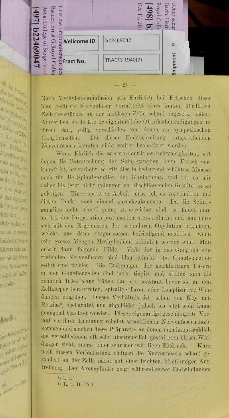 f«l“r i'e Gebilde wrJiöe '(Ineter Xatnr. Stüclie TüD dei Ven- 'iize uod Töi aoderett DiirclilffiliijfcjDDte men wir dei ite ihufen dejKarafiien- n eiitliält^^' .„iviikl*'*'' * I it lA (t«“* ...eil'' \o O K> K) 4^ Ov 70 o •< S- n o_ ?r OQ C/3 C -n OQ m o 3 cn CD C 65 er 2 a t/5 n rr 3 I ^ p 5 A/ellcome ID ^ I - 3. ^ Q 2 rract No. ^ a o ^ c/) 022469047 TRACTS 1940(2) er m O -T' ?0 DO C o o (55 n>  \o 'S ^ ö K) O 1-^ k. X Dl 3- X o 3 C/5 rt) o c >-l CTi C (U E Q- 25 Xacli dMetliylenblauinfusioii sali Ehrlich *) hei Erösclien diese Ihlau gefärbte Nervenfaser vermittelst eines kurzen fibrillären Zwischenstückes an der farblosen Zelle scharf abgesetzt enden. Ausserdem entdeckte er eigentümliche Oberflächenendignngen in ihrem Ban, völlig verschieden von denen an sympathischen Ganglienzellen. Die dieser Endansbreitnng entsprechenden Nervenfasern konnten nicht weiter beobachtet werden. Wenn Ehrlich die ausserordentlichen Schwierigkeiten, mit denen die IJntersnchnng der Spinalganglien beim Frosch ver- knüpft ist, hervorhebt, so gilt dies in bedeutend erhöhtem Maasse noch für die Spinalganglien des Kaninchens, und ist es mir j daher bis jetzt nicht gelungen zn abschliessenden Besnltaten zn gelangen. Einer späteren Arbeit muss ich es Vorbehalten, auf diesen Punkt noch einmal znrückznkommen. Da die Spinal- ^ ganglien nicht schnell genug zn erreichen sind, so findet man sie hei der Präparation post mortem stets redneirt und man muss sich mit den Ergebnissen der seenndären Oxydation begnügen, f welche nur dann einigermassen befriedigend ansfallen, wenn i sehr grosse Mengen Methylenhlan infnndirt worden sind. Man ,1 erhält dann folgende Bildei': Viele der in das Ganglion ein- tretenden Nervenfasern sind blau gefärbt; die Ganglienzellen selbst sind farblos. Die Endigungen der marklialtigen Fasern an den Ganglienzellen sind meist tingirt und stellen sich als ziemlich dicke blaue Fäden dar, die constant, bevor sie an den Zellkörper herantreten, spiralige Türen oder komplizirtere Win- dungen eingehen. Dieses Verhältnis ist schon von Key und Retzius^) beobachtet und abgehildet, jedoch bis jetzt wohl kaum genügend beachtet worden. Dieser eigenartige geschlängelte Ver- lauf vor ihrer Endigung scheint sämmtlichen Nervenfasern znzn- kommen und machen diese Präparate, an denen man hauptsächlich die verschiedenen oft sehr ahentenerlicli gestalteten blauen Win- dungen sieht, zuerst einen sehr merkwürdigen Eindruck. — Kurz nach diesem Verlanfsstück endigen die Nervenfasern scharf ge- sondert an der Zelle meist mit einer leichten, hirnförmigen Auf- treibung. Der Axencylindei’ zeigt während seiner Endwindnngen 1) 1. c. 2) L. c. II. Teil.