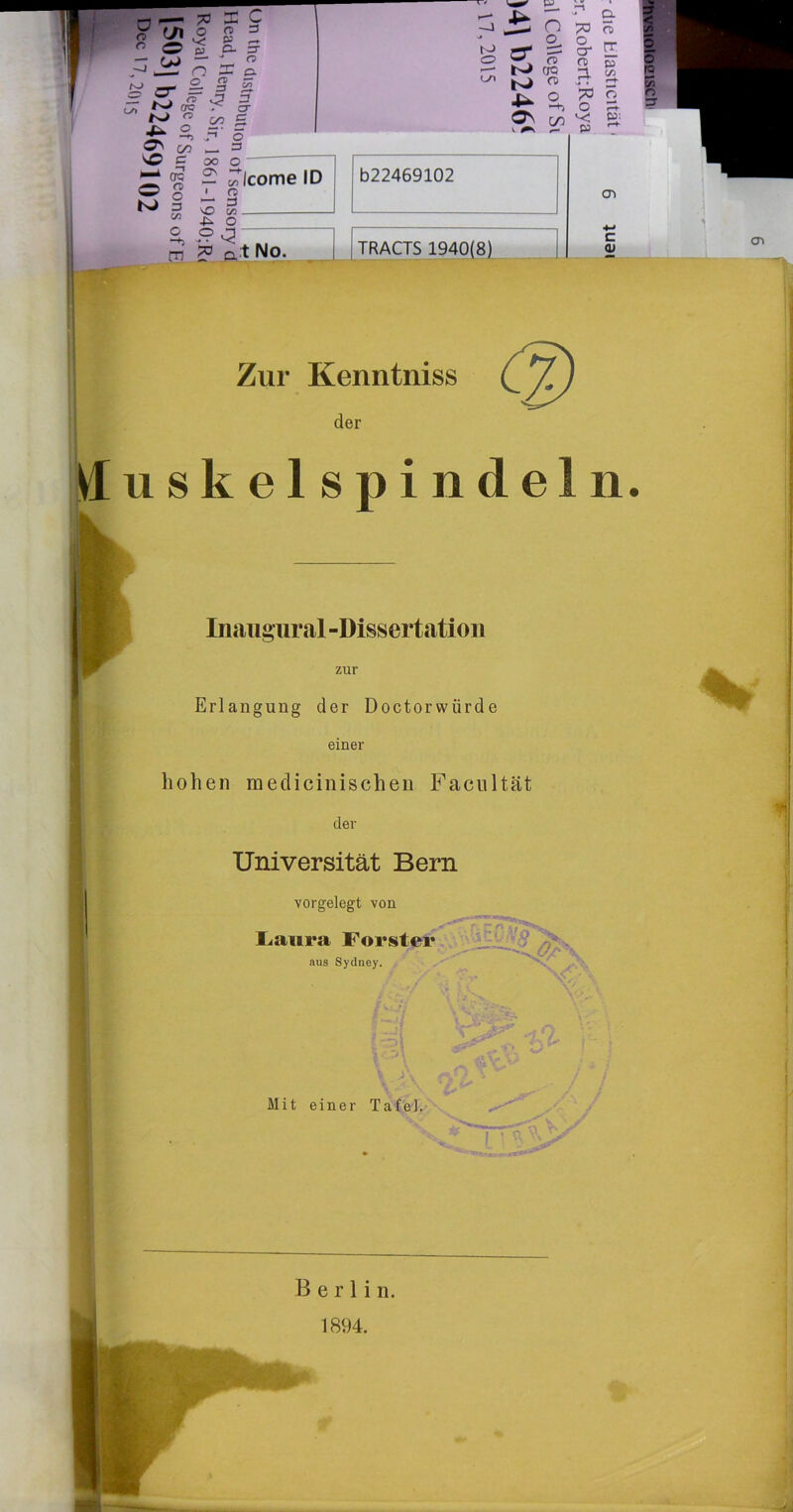 -J 4- n 73 g. s to o er e-> o, ?r cra O O“ O 3. rr p t/2 L/l ro cd «“+■ 4- o -*> 73 o o ON V ^ GO P3 ftj: 022469102 m 2? ft* No TRACTS 1940(8) CD c QJ Zur Kenntniss der ^1 u s k e 1 s p i n cl e 1 n. Inaugural-Dissertation zur Erlangung der Doctorwürde einer hohen medicinischen Facultät der Universität Bern vorgelegt von Faura Förster aus Sydney. KV; Ijä i 1 '] Mit einer Tafel. 1894. <Tt