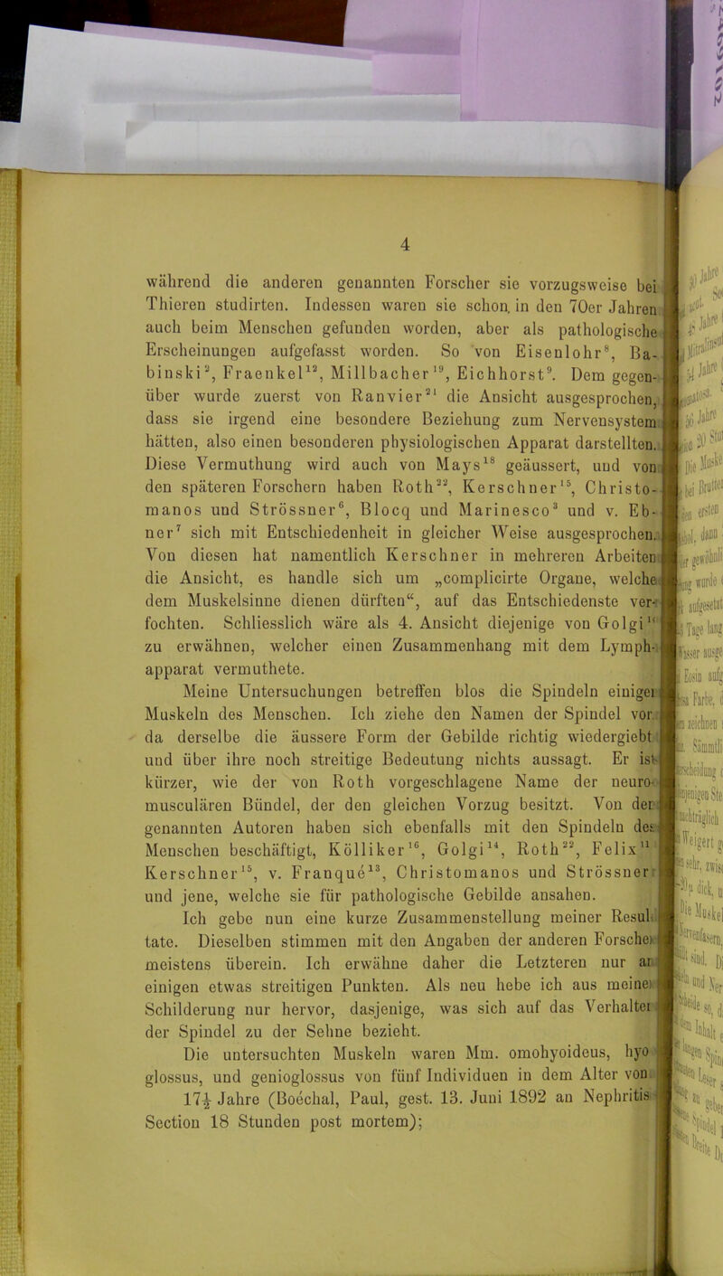 während die anderen genannten Forscher sie vorzugsweise bei Thieren studirten. Indessen waren sie schon, in den 70er Jahren auch beim Menschen gefunden worden, aber als pathologische Erscheinungen aulgefasst worden. So von Eisenlohr8, Ba- binski2, Fraenkel12, Millbacher19, Eichhorst9. Dem gegen- über wurde zuerst von Ran vier21 die Ansicht ausgesprochen, dass sie irgend eine besondere Beziehung zum Nervensystem hätten, also einen besonderen physiologischen Apparat darstellten, Diese Vermuthang wird auch von Mays18 geäussert, und von den späteren Forschern haben Roth22, Kerschner15, Christo- manos und Strössner6, Blocq und Marinesco3 und v. Eb- ner7 sich mit Entschiedenheit in gleicher Weise ausgesprochen, Von diesen hat namentlich Kerschner in mehreren Arbeiten die Ansicht, es handle sich um „complicirte Organe, welche dem Muskelsinne dienen dürften“, auf das Entschiedenste ver- fochten. Schliesslich wäre als 4. Ansicht diejenige von Golgi11 zu erwähnen, welcher einen Zusammenhang mit dem Lymph- apparat vermuthete. Meine Untersuchungen betreifen blos die Spindeln einige] Muskeln des Menschen. Ich ziehe den Namen der Spindel vor. da derselbe die äussere Form der Gebilde richtig wiedergiebt und über ihre noch streitige Bedeutung nichts aussagt. Er ist- kürzer, wie der von Roth vorgeschlagene Name der neuro- musculären Bündel, der den gleichen Vorzug besitzt. Von der genannten Autoren haben sich ebenfalls mit den Spindeln der Menschen beschäftigt, Kölliker16, Golgi14, Roth22, Felix11 Kerschner15, v. Franque13, Christomanos und Strössner und jene, welche sie für pathologische Gebilde ansahen. Ich gebe nun eine kurze Zusammenstellung meiner Resul tato. Dieselben stimmen mit den Angaben der anderen Forsche) meistens überein. Ich erwähne daher die Letzteren nur ar einigen etwas streitigen Punkten. Als neu hebe ich aus meine! Schilderung nur hervor, dasjenige, was sich auf das Verhaltet der Spindel zu der Sehne bezieht. Die untersuchten Muskeln waren Mm. omohyoideus, hyo glossus, und genioglossus von fünf Individuen in dem Alter von 17^- Jahre (Boechal, Paul, gest. 13. Juni 1892 au Nephritis j Section 18 Stunden post mortem);
