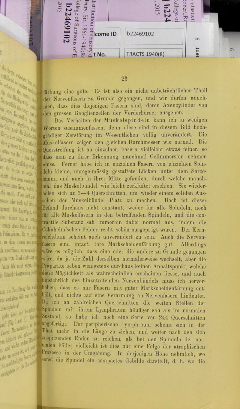 £ ^ (li, o n er = 3 <2 j N n 2, £ £ c 00 “ aq O °> K> 3 C/3 o “+5 3 er c <—*■ .p o _ 3 00 O CD D-> Qi* 2- ° ® fr r; N na ^ CD 4^ a s* s n> co 3- 3 ?ö o o 3 3 ^ icome ID 1 m Co 5 -P> o -2 3 Ö22469102 >eii e Sk *>!fl e schp,‘ ^ %«S‘q S«** SH >h,Sn iCL;u . 211 sehen. \, ;“,'•«»«** ilt*'161' ** i , 1 ' ' lele sind nur n m j? a t No. TRACTS 1940(8) CD C O) ■^lenzt Bei denjenigen, ^ ^ könnte man an FetteiJ immer etwas feiner als i d Perimysiums. Da an mar ] an dem oberen und 1 ch anschliesst. so vermutl ption von Muskelsubstan kann icli nicht sagen, in Betracht kommenden Ge li» & Wi»t M veilalten »«« id#*. v.,l. >5> 23 farbung eine gute. Es ist also ein nicht unbeträchtlicher Theil der Nervenfasern zu Grunde gegangen, und wir dürfen anneh- nien, dass dies diejenigen Fasern sind, deren Axencylinder von den grossen Ganglienzellen der Vorderhörner ausgehen. Das Verhalten der Muskelspindeln kann ich in wenigen Worten zusammenfassen, denn diese sind in diesem Bild hoch- gradiger Zerstörung im Wesentlichen völlig unverändert. Die Muskelfasern zeigen den gleichen Durchmesser wie normal. Die Querstreifung ist an einzelnen Fasern vielleicht etwas feiner, so dass man zu ihrer Erkennung manchmal Oelimmersion nehmen muss. Ferner habe ich in einzelnen Fasern von einzelnen Spin- jdeln kleine, unregelmässig gestaltete Lücken unter dem Sarco- lemm, und auch in ihrer Mitte gefunden, durch welche manch- mal das Muskelbündel wie leicht zerklüftet erschien. Sie wieder- holen sich an 3—4 Querschnitten, um wieder einem soliden Aus- sehen der Muskelbündel Platz zu machen. Doch ist dieser efund durchaus nicht constant, weder für alle Spindeln, noch r alle Muskelfasern in den betreffenden Spindeln, und die con- ractile Substanz sah immerhin dabei normal aus, indem die ohnheim’schen Felder recht schön ausgeprägt waren. Der Kern- eichthum scheint auch unverändert zu sein. Auch die Nerven- fasern sind intact, ihre Markscheidenfärbung gut. Allerdings iwäre es möglich, dass eine oder die andere zu Grunde gegangen väre, da ja die Zahl derselben normalerweise wechselt, aber die häparate geben wenigstens durchaus keinen Anhaltspunkt, welche liese Möglichkeit als wahrscheinlich erscheinen Hesse, und auch linsichtlich des hinzutretenden Nervenbündels muss ich hervor- leben, dass es nur Fasern mit guter Markscheidenfärbung ent- hält, und nichts auf eine Verarmung an Nervenfasern hindeutet. I ich an zahlreichen Querschnitten die weiten Stellen der Spindeln mit ihrem Lymphraum häufiger sah als im normalen Zustand, so habe ich noch eine Serie von 244 Querschnitten ingefertigt. Der peripherische Lymphraum scheint sich in der I hat mehr in die Länge zu ziehen, und weiter nach den sich zuspitzenden Enden zu reichen, als bei den Spindeln der nor- malen Fälle; vielleicht ist dies nur eine Folge der atrophischen 4 mzesse in der Umgebung. In derjenigen Höhe nehmlich, wo mnst die Spindel ein compactes Gebilde darstellt, d. h. wo die CD 10