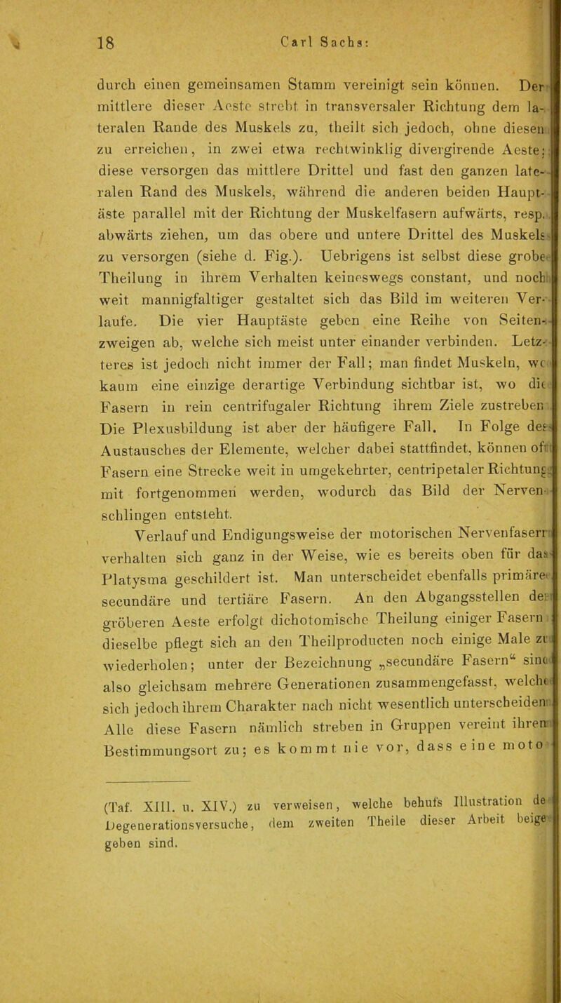 durch einen gemeinsamen Stamm vereinigt sein können. Der mittlere dieser Acste strebt in transversaler Richtung dem la- teralen Rande des Muskels zu, theilt sich jedoch, ohne diesen zu erreichen, in zwei etwa rechtwinklig divergirende Aeste:; diese versorgen das mittlere Drittel und fast den ganzen late- ralen Rand des Muskels, während die anderen beiden Haupt- äste parallel mit der Richtung der Muskelfasern aufwärts, resp. abwärts ziehen, um das obere und untere Drittel des Muskels zu versorgen (siehe d. Fig.). Uebrigens ist selbst diese grobe Theilung in ihrem Verhalten keineswegs constant, und noch weit mannigfaltiger gestaltet sich das Bild im weiteren Ver- laufe. Die vier Hauptäste geben eine Reihe von Seiten-.- zweigen ab, welche sich meist unter einander verbinden. Letz» teres ist jedoch nicht immer der Fall; man findet Muskeln, wc kaum eine einzige derartige Verbindung sichtbar ist, wo die Fasern in rein centrifugaler Richtung ihrem Ziele zustreben Die Plexusbildung ist aber der häufigere Fall. In Folge des- Austausches der Elemente, welcher dabei stattfindet, können oft; Fasern eine Strecke weit in umgekehrter, centripetaler Richtung; mit fortgenommen werden, wodurch das Bild der Nerven- schlingen entsteht. Verlauf und Endigungsweise der motorischen Nervenfaserr verhalten sich ganz in der Weise, wie es bereits oben für das- Platysma geschildert ist. Man unterscheidet ebenfalls primäre secundäre und tertiäre Fasern. An den Abgangsstellen dei gröberen Aeste erfolgt dichotomische Theilung einiger Fasern dieselbe pflegt sich an den Theilproducten noch einige Male zu wiederholen; unter der Bezeichnung „secundäre Fasern“ sine also gleichsam mehrere Generationen zusammengefasst, welclu sich jedoch ihrem Charakter nach nicht wesentlich unterscheiden Alle diese Fasern nämlich streben in Gruppen vereint ihren Bestimmungsort zu; es kommt nie vor, dass eine moto (Taf. XIII. u. XIV.) zu verweisen, welche behufs Illustration de Degenerationsversuehe, dem zweiten Theile dieser Ai beit, beige» geben sind.