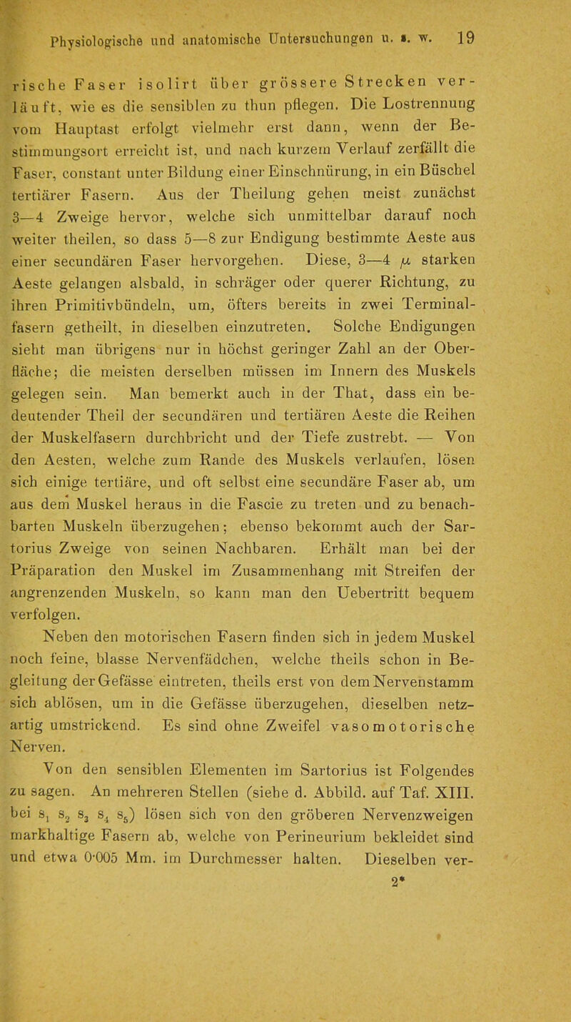 £ Physiologische und anatomische Untersuchungen u. *. w. 19 rische Faser isolirt über gr ös s er e S t reck en ver- läuft, wie es die sensiblen zu thun pflegen. Die Lostrennung vom Hauptast erfolgt vielmehr erst dann, wenn der Be- stimmungsort erreicht ist. und nach kurzem Verlauf zerfällt die Faser, constant unter Bildung einer Einschnürung, in ein Büschel tertiärer Fasern. Aus der Theilung gehen meist zunächst 3—4 Zweige hervor, welche sich unmittelbar darauf noch weiter theilen, so dass 5—8 zur Endigung bestimmte Aeste aus einer secundären Faser hervorgehen. Diese, 3—4 fx starken Aeste gelangen alsbald, in schräger oder querer Richtung, zu ihren Primitivbündeln, um, öfters bereits in zwei Terminal- fasern getheilt, in dieselben einzutreten. Solche Endigungen siebt man übrigens nur in höchst geringer Zahl an der Ober- fläche; die meisten derselben müssen im Innern des Muskels gelegen sein. Man bemerkt auch in der That, dass ein be- deutender Theil der secundären und tertiären Aeste die Reihen der Muskelfasern durchbricht und der Tiefe zustrebt. — Von den Aesten, welche zum Rande des Muskels verlaufen, lösen sich einige tertiäre, und oft selbst eine secundäre Faser ab, um aus dem Muskel heraus in die Fascie zu treten und zu benach- barten Muskeln überzugehen; ebenso bekommt auch der Sar- torius Zweige von seinen Nachbaren. Erhält man bei der Präparation den Muskel im Zusammenhang mit Streifen der angrenzenden Muskeln, so kann man den Uebertritt bequem verfolgen. Neben den motorischen Fasern finden sich in jedem Muskel noch feine, blasse Nervenfädchen, welche theils schon in Be- gleitung derGefässe eintreten, theils erst von dem Nervenstamm sich ablösen, um in die Gefässe überzugehen, dieselben netz- artig umstrickend. Es sind ohne Zweifel vasomotorische Nerven. Von den sensiblen Elementen im Sartorius ist Folgendes zu sagen. An mehreren Stellen (siebe d. Abbild, auf Taf. XIII. bei s, s2 s3 s4 s5) lösen sich von den gröberen Nervenzweigen rnarkhaltige Fasern ab, welche von Perineurium bekleidet sind und etwa 0-005 Mm. im Durchmesser halten. Dieselben ver-