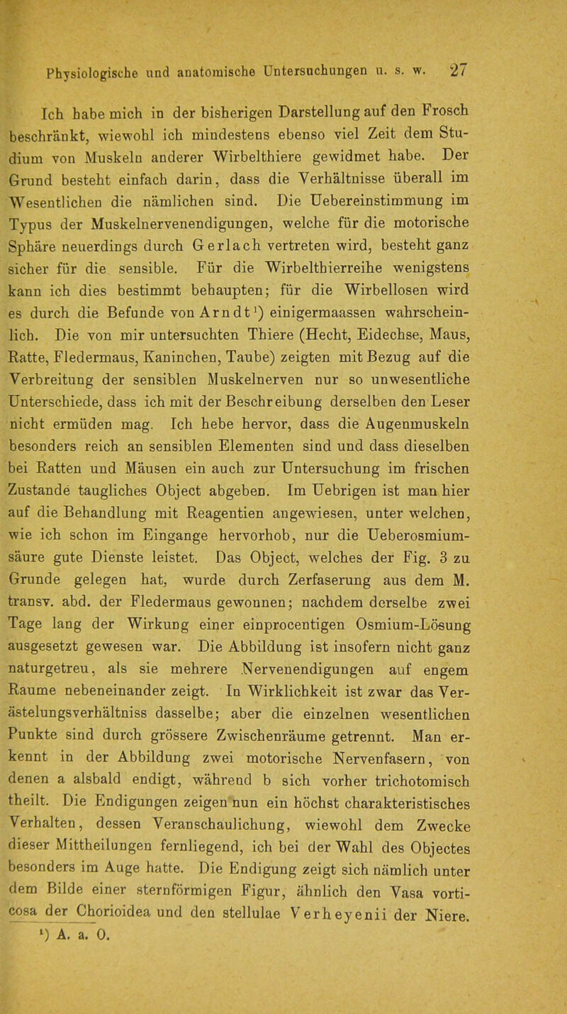 Ich habe mich in der bisherigen Darstellung auf den Frosch beschränkt, wiewohl ich mindestens ebenso viel Zeit dem Stu- dium von Muskeln anderer Wirbelthiere gewidmet habe. Der Grund besteht einfach darin, dass die Verhältnisse überall im Wesentlichen die nämlichen sind. Die Uebereinstimmung im Typus der Muskelnervenendigungen, welche für die motorische Sphäre neuerdings durch Gerlach vertreten wird, besteht ganz sicher für die sensible. Für die Wirbelthierreihe wenigstens kann ich dies bestimmt behaupten; für die Wirbellosen wird es durch die Befunde von Arndt1) einigermaassen wahrschein- lich. Die von mir untersuchten Thiere (Hecht, Eidechse, Maus, Ratte, Fledermaus, Kaninchen, Taube) zeigten mit Bezug auf die Verbreitung der sensiblen Muskelnerven nur so unwesentliche Unterschiede, dass ich mit der Beschreibung derselben den Leser nicht ermüden mag. Ich hebe hervor, dass die Augenmuskeln besonders reich an sensiblen Elementen sind und dass dieselben bei Ratten und Mäusen ein auch zur Untersuchung im frischen Zustande taugliches Object abgeben. Im Uebrigen ist man hier auf die Behandlung mit Reagentien angewiesen, unter welchen, wie ich schon im Eingänge hervorhob, nur die Ueberosmium- säure gute Dienste leistet. Das Object, welches der Fig. 3 zu Grunde gelegen hat, wurde durch Zerfaserung aus dem M. transv. abd. der Fledermaus gewonnen; nachdem derselbe zwei Tage lang der Wirkung einer einprocentigen Osmium-Lösung ausgesetzt gewesen war. Die Abbildung ist insofern nicht ganz naturgetreu, als sie mehrere .Nervenendigungen auf engem Raume nebeneinander zeigt. In Wirklichkeit ist zwar das Ver- ästelungsverhältniss dasselbe; aber die einzelnen wesentlichen Punkte sind durch grössere Zwischenräume getrennt. Man er- kennt in der Abbildung zwei motorische Nervenfasern, von denen a alsbald endigt, während b sich vorher trichotomisch theilt. Die Endigungen zeigen nun ein höchst charakteristisches Verhalten, dessen Veranschaulichung, wiewohl dem Zwecke dieser Mittheilungen fernliegend, ich bei der Wahl des Objectes besonders im Auge hatte. Die Endigung zeigt sich nämlich unter dem Bilde einer sternförmigen Figur, ähnlich den Vasa vorti- cosa der Chorioidea und den stellulae Verheyenii der Niere.