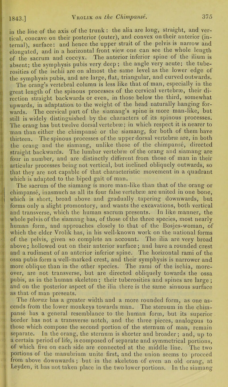 A 1843.] in the line of the axis of the trunk: the alia are long, straight, and ver- tical, concave on their posterior (outer), and convex on their anterior (in- ternal), surface: and hence the upper strait of the pelvis is narrow and elongated, and in a horizontal front view one can see the whole length of the sacrum and coccyx. The anterior inferior spine of the ilium is absent; the symphysis pubis very deep; the angle very acute; the tube- rosities of the iscliii are on almost the same level as the lower edge of the symphysis pubis, and are large, flat, triangular, and curved outwards. The orang’s vertebral column is less like that of man, especially in the great length of the spinous processes of the cervical vertebrae, their di- rection straight backwards or even, in those below the third, somewhat upwards, in adaptation to the weight of the head naturally hanging for- wards. The cervical part of the siamang’s spine is more man-like, but still is widely distinguished by the characters of its spinous processes. The orang has but twelve dorsal vertebrae; in which respect it is nearer to man than either the chimpanse or the siamang, for both of them have thirteen. The spinous processes of the upper dorsal vertebra are, in both the orang and the siamang, unlike those of the chimpanse, directed straight backwards. The lumbar vertebrae of the orang and siamang are four in number, and are distinctly different from those of man in their articular processes being not vertical, but inclined obliquely outwards, so that they are not capable of that characteristic movement in a quadrant which is adapted to the biped gait of man. The sacrum of the siamang is more man-like than that of the orang or chimpanse, inasmuch as all its four false vertebra are united in one bone, which is short, broad above and gradually tapering downwards, but forms only a slight promontory, and wants the excavations, both vertical and transverse, which the human sacrum presents. In like manner, the whole pelvis of the siamang has, of those of the three species, most nearly human form, and approaches closely to that of the Bosjes-woman, of which the elder Vrolik has, in his well-known work on the national forms of the pelvis, given so complete an account. The ilia are very broad above; hollowed out on their anterior surface; and have a rounded crest and a rudiment of an anterior inferior spine. The horizontal rami of the ossa pubis form a well-marked crest, and their symphysis is narrower and more oblique than in the other species. The rami of the ischia, more- over, are not transverse, but are directed obliquely towards the ossa pubis, as in the human skeleton ; their tuberosities and spines are large ; and on the posterior aspect of the ilia there is the same sinuous surface as that of man presents. The thorax has a greater width and a more rounded form, as one as- cends from the lower monkeys towards man. The sternum in the chim- panse has a general resemblance to the human form, but its superior border has not a transverse notch, and the three pieces, analogous to those which compose the second portion of the sternum of man, remain separate. In the orang, the sternum is shorter and broader; and, up to a certain period oflife, is composed of separate and symmetrical portions, of which five on each side are connected at the middle line. The two portions of the manubrium unite first, and the union seems to proceed from above downwards ; but in the skeleton of even an old orang, at Leyden, it has not taken place in the two lower portions. In the siamang