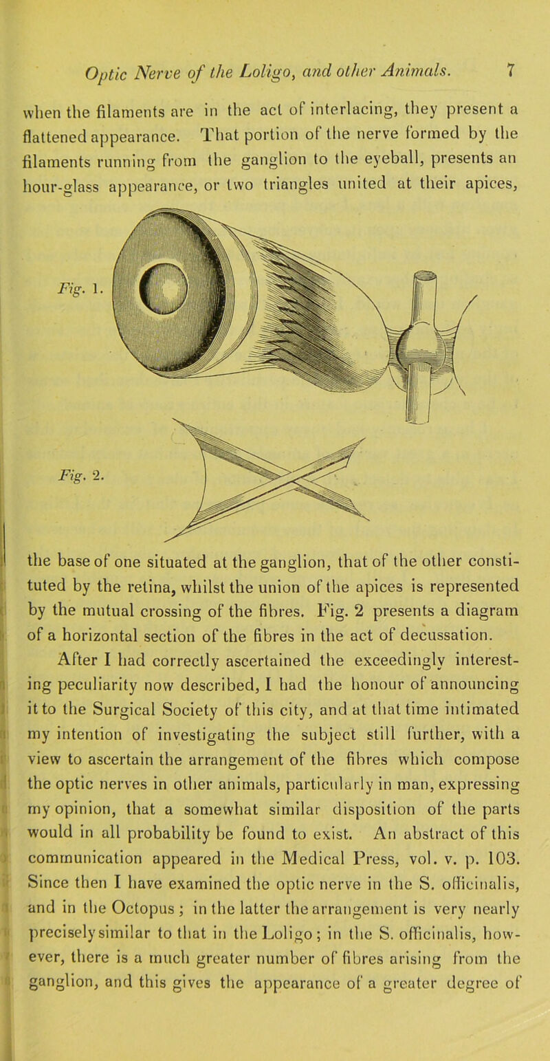 when the filaments are in the act of interlacing, they present a flattened appearance. That portion of the nerve formed by the filaments running from the ganglion to the eyeball, presents an hour-glass appearance, or two triangles united at their apices, 1 the base of one situated at the ganglion, that of the other consti- ■ tuted by the retina, whilst the union of the apices is represented ( by the mutual crossing of the fibres. Fig. 2 presents a diagram !' of a horizontal section of the fibres in the act of decussation. After I had correctly ascertained the exceedingly interest- n ing peculiarity now described, I had the honour of announcing ) it to the Surgical Society of this city, and at that time intimated my intention of investigating the subject still further, with a I view to ascertain the arrangement of the fibres which compose 1 the optic nerves in other animals, particularly in man, expressing ! my opinion, that a somewhat similar disposition of the parts . would in all probability be found to exist. An abstract of this ) communication appeared in the Medical Press, vol. v. p. 103. ' Since then I have examined the optic nerve in the S. officinalis, and in the Octopus ; in the latter the arrangement is very nearly preciselysimilar to that in the Loligo; in the S. officinalis, how- ever, there is a much greater number of fibres arising from the ganglion, and this gives the appearance of a greater degree of