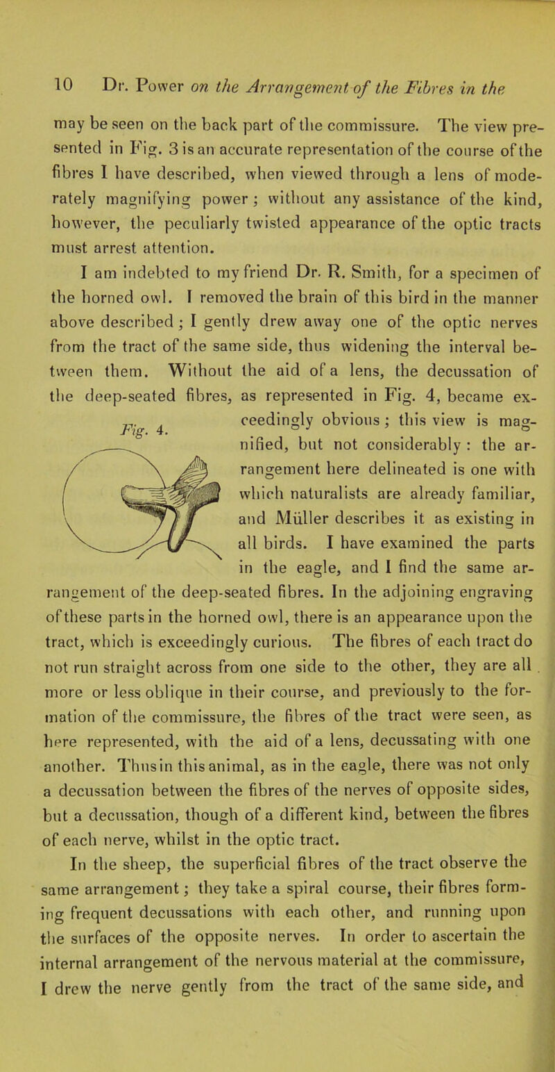 may be seen on the back part of tlie commissure. The view pre- sented in Fig. 3 is an accurate representation of the course of the fibres 1 have described, when viewed through a lens of mode- rately magnifying power; without any assistance of the kind, however, the peculiarly twisted appearance of the optic tracts must arrest attention. I am indebted to my friend Dr. R. Smith, for a specimen of the horned owl. I removed the brain of this bird in the manner above described ; I gently drew away one of the optic nerves from the tract of the same side, thus widening the interval be- tween them. Without the aid of a lens, the decussation of the deep-seated fibres, as represented in Fig. 4, became ex- , ceedingly obvious : this view' is mag- -Fig. 4. . . ® nified, but not considerably : the ar- rangement here delineated is one with which naturalists are already familiar, and Muller describes it as existing in all birds. I have examined the parts in the eagle, and I find the same ar- rangement of the deep-seated fibres. In the adjoining engraving of these parts in the horned owl, there is an appearance upon the tract, which is exceedingly curious. The fibres of each tract do not run straight across from one side to the other, they are all more or less oblique in their course, and previously to the for- mation of the commissure, the fibres of the tract were seen, as here represented, with the aid of a lens, decussating with one another. Thusin this animal, as in the eagle, there was not only a decussation betw'een the fibres of the nerves of opposite sides, but a decussation, though of a different kind, between the fibres of each nerve, whilst in the optic tract. In the sheep, the superficial fibres of the tract observe the same arrangement; they take a spiral course, their fibres form- ing frequent decussations with each other, and running upon the surfaces of the opposite nerves. Iti order to ascertain the internal arrangement of the nervous material at the commissure, I drew the nerve gently from the tract of the same side, and