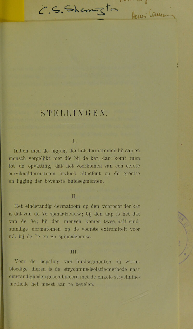S T E L LIN G E N. I. Indien men de ligging der halsdermatomen bij aap en mensch vergelijkt met die bij de kat, dan komt men tot de opvatting, dat het voorkomen van een eerste cervikaaldermatoom invloed uitoefent op de grootte en ligging der bovenste huidsegmenten. Het eindstandig dermatoom op den voorpoot der kat is dat van de 7e spinaalzenuw; bij den aap is het dat van de 8e; bij den mensch komen twee half eind- standige dermatomen op de voorste extremiteit voor n.1. bij de 7e en 8e spinaalzenuw. Voor de bepaling van huidsegmenten bij warm- bloedige dieren is de strychnine-isolatie-methode naar omstandigheden gecombineerd met de enkele strychnine- methode het meest aan te bevelen. II. III.