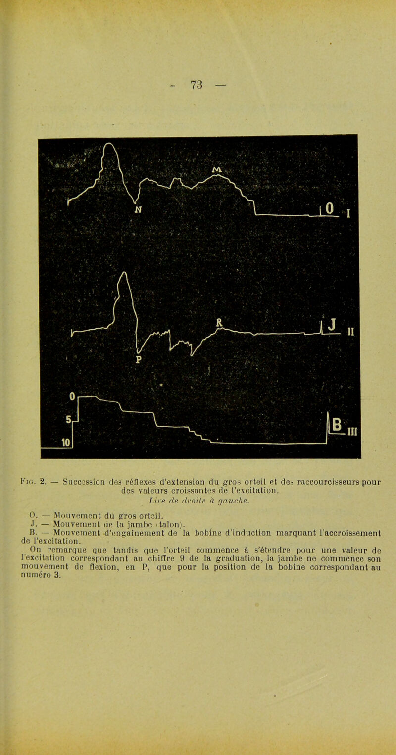Fig. 2. — Succession des réflexes d’extension du gros orteil et de.- raccourcisseurs pour des valeurs croissantes de l’excitation. Lire de droite à gauche. O. — Mouvement du gros orteil. •I. — Mouvement lie la jambe italon). B. — Mouvement d’engaînement de la bobine d’induction marquant l’accroissement de l’excitation. On remarque que tandis que l’orteil commence à s’étendre pour une valeur de l’excitation correspondant au chiffre 9 de la graduation, la jambe ne commence son mouvement de flexion, en P, que pour la position de la bobine correspondant au numéro 3.