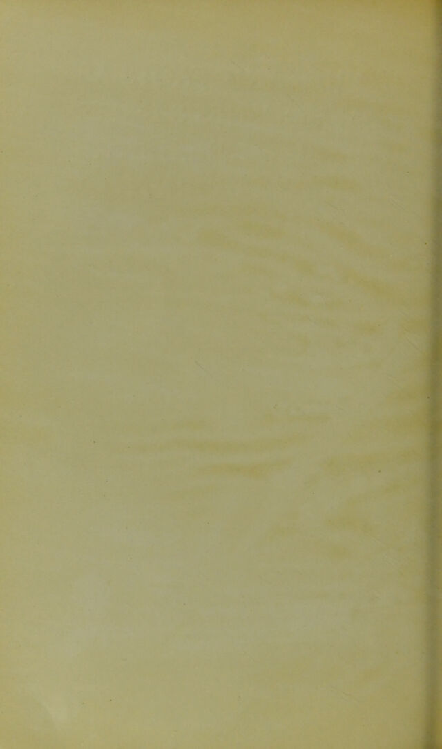 digitised image 2