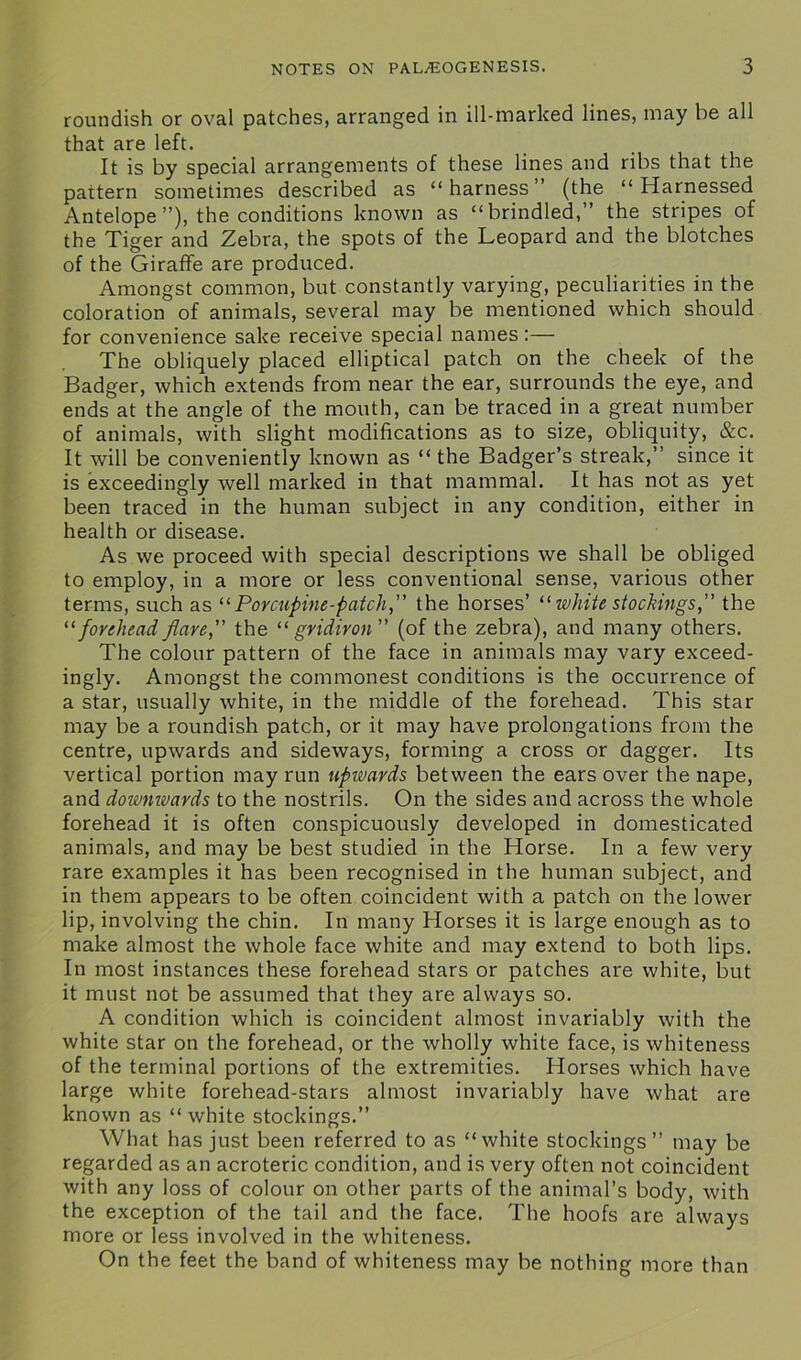 roundish or oval patches, arranged in ill-marked lines, may be all that are left. It is by special arrangements of these lines and ribs that the pattern sometimes described as “harness” (the “Harnessed Antelope ”), the conditions known as “brindled,” the stripes of the Tiger and Zebra, the spots of the Leopard and the blotches of the Giraffe are produced. Amongst common, but constantly varying, peculiarities in the coloration of animals, several may be mentioned which should for convenience sake receive special names:— The obliquely placed elliptical patch on the cheek of the Badger, which extends from near the ear, surrounds the eye, and ends at the angle of the mouth, can be traced in a great number of animals, with slight modifications as to size, obliquity, &c. It will be conveniently known as “ the Badger’s streak,” since it is exceedingly well marked in that mammal. It has not as yet been traced in the human subject in any condition, either in health or disease. As we proceed with special descriptions we shall be obliged to employ, in a more or less conventional sense, various other terms, such as 11 Porcupine-patch, the horses’ “ white stockings, the 11 forehead flare, the “ gridiron ” (of the zebra), and many others. The colour pattern of the face in animals may vary exceed- ingly. Amongst the commonest conditions is the occurrence of a star, usually white, in the middle of the forehead. This star may be a roundish patch, or it may have prolongations from the centre, upwards and sideways, forming a cross or dagger. Its vertical portion may run upwards between the ears over the nape, and downwards to the nostrils. On the sides and across the whole forehead it is often conspicuously developed in domesticated animals, and may be best studied in the Horse. In a few very rare examples it has been recognised in the human subject, and in them appears to be often coincident with a patch on the lower lip, involving the chin. In many Horses it is large enough as to make almost the whole face white and may extend to both lips. In most instances these forehead stars or patches are white, but it must not be assumed that they are always so. A condition which is coincident almost invariably with the white star on the forehead, or the wholly white face, is whiteness of the terminal portions of the extremities. Horses which have large white forehead-stars almost invariably have what are known as “ white stockings.” What has just been referred to as “white stockings” may be regarded as an acroteric condition, and is very often not coincident with any loss of colour on other parts of the animal’s body, with the exception of the tail and the face. The hoofs are always more or less involved in the whiteness. On the feet the band of whiteness may be nothing more than