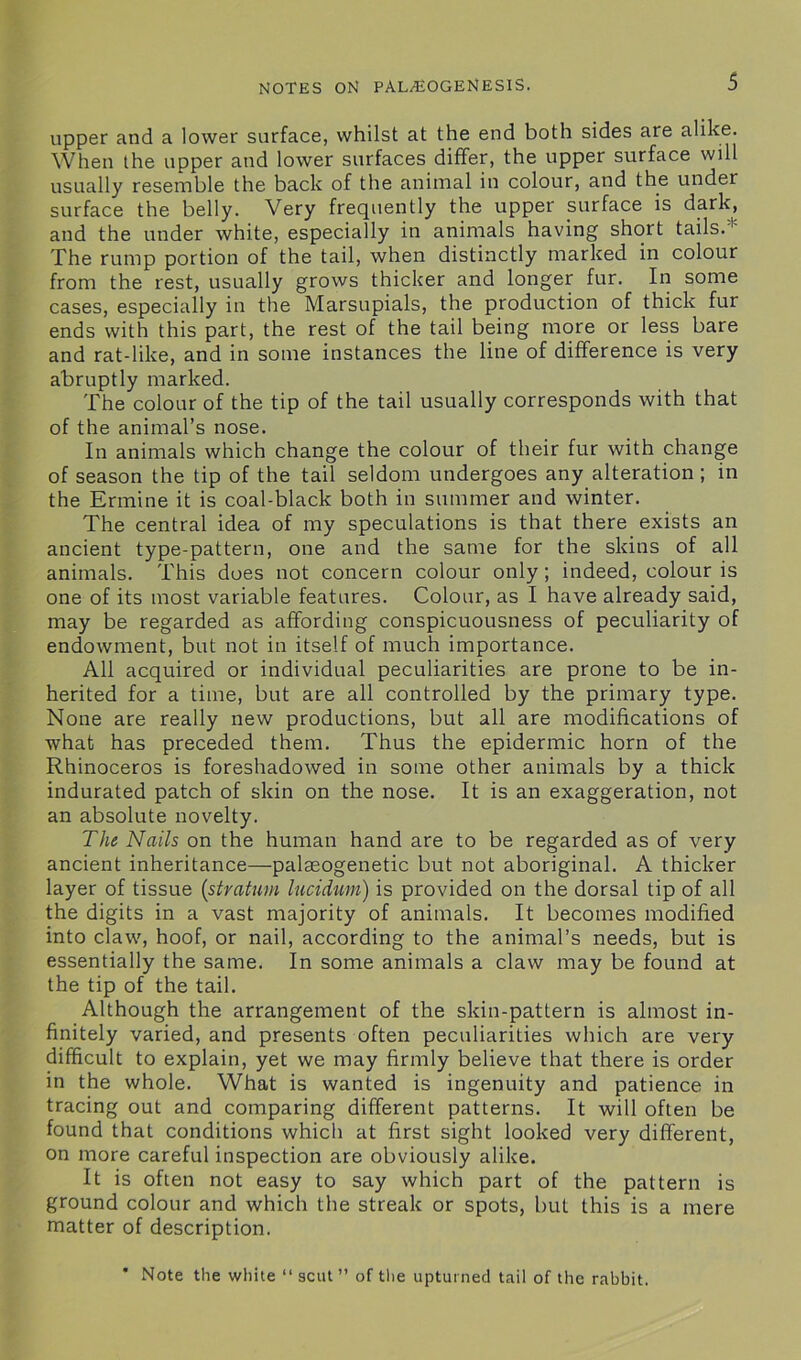 upper and a lower surface, whilst at the end both sides are alike. When the upper and lower surfaces differ, the upper surface will usually resemble the back of the animal in colour, and the under surface the belly. Very frequently the upper surface is dark, and the under white, especially in animals having short tails.' The rump portion of the tail, when distinctly marked in colour from the rest, usually grows thicker and longer fur. In some cases, especially in the Marsupials, the production of thick fur ends with this part, the rest of the tail being more or less bare and rat-like, and in some instances the line of difference is very abruptly marked. The colour of the tip of the tail usually corresponds with that of the animal’s nose. In animals which change the colour of their fur with change of season the tip of the tail seldom undergoes any alteration ; in the Ermine it is coal-black both in summer and winter. The central idea of my speculations is that there exists an ancient type-pattern, one and the same for the skins of all animals. This does not concern colour only; indeed, colour is one of its most variable features. Colour, as I have already said, may be regarded as affording conspicuousness of peculiarity of endowment, but not in itself of much importance. All acquired or individual peculiarities are prone to be in- herited for a time, but are all controlled by the primary type. None are really new productions, but all are modifications of what has preceded them. Thus the epidermic horn of the Rhinoceros is foreshadowed in some other animals by a thick indurated patch of skin on the nose. It is an exaggeration, not an absolute novelty. The Nails on the human hand are to be regarded as of very ancient inheritance—-palseogenetic but not aboriginal. A thicker layer of tissue (stratum lucidum) is provided on the dorsal tip of all the digits in a vast majority of animals. It becomes modified into claw, hoof, or nail, according to the animal’s needs, but is essentially the same. In some animals a claw may be found at the tip of the tail. Although the arrangement of the skin-pattern is almost in- finitely varied, and presents often peculiarities which are very difficult to explain, yet we may firmly believe that there is order in the whole. What is wanted is ingenuity and patience in tracing out and comparing different patterns. It will often be found that conditions which at first sight looked very different, on more careful inspection are obviously alike. It is often not easy to say which part of the pattern is ground colour and which the streak or spots, but this is a mere matter of description. * Note the white “ scut ” of the upturned tail of the rabbit.