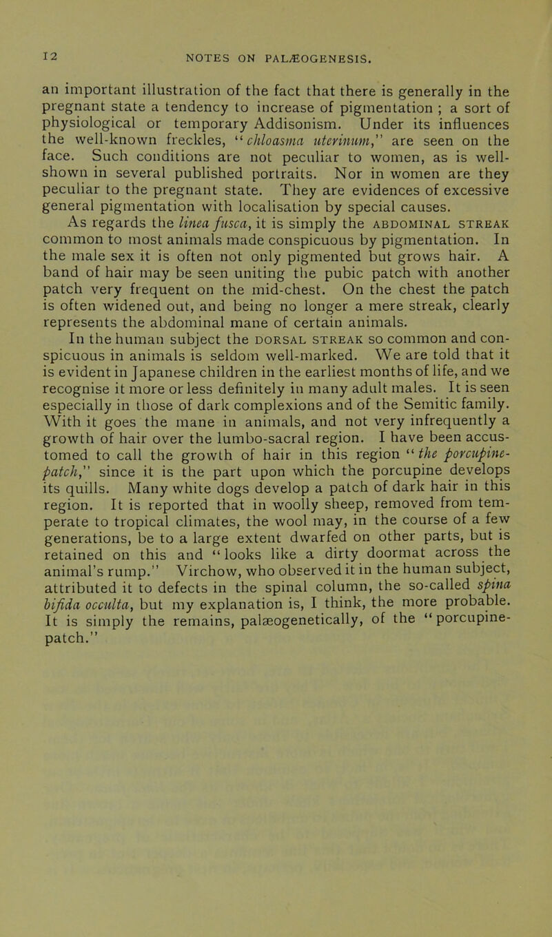 an important illustration of the fact that there is generally in the pregnant state a tendency to increase of pigmentation ; a sort of physiological or temporary Addisonism. Under its influences the well-known freckles, 11 chloasma uterinum,” are seen on the face. Such conditions are not peculiar to women, as is well- shown in several published portraits. Nor in women are they peculiar to the pregnant state. They are evidences of excessive general pigmentation with localisation by special causes. As regards the linea fusca, it is simply the abdominal streak common to most animals made conspicuous by pigmentation. In the male sex it is often not only pigmented but grows hair. A band of hair may be seen uniting the pubic patch with another patch very frequent on the mid-chest. On the chest the patch is often widened out, and being no longer a mere streak, clearly represents the abdominal mane of certain animals. In the human subject the dorsal streak so common and con- spicuous in animals is seldom well-marked. We are told that it is evident in Japanese children in the earliest months of life, and we recognise it more or less definitely in many adult males. It is seen especially in those of dark complexions and of the Semitic family. With it goes the mane in animals, and not very infrequently a growth of hair over the lumbo-sacral region. I have been accus- tomed to call the growth of hair in this region “ the porcupine- patch,” since it is the part upon which the porcupine develops its quills. Many white dogs develop a patch of dark hair in this region. It is reported that in woolly sheep, removed from tem- perate to tropical climates, the wool may, in the course of a few generations, be to a large extent dwarfed on other parts, but is retained on this and “looks like a dirty doormat across the animal’s rump.” Virchow, who observed it in the human subject, attributed it to defects in the spinal column, the so-called spina bifida occulta, but my explanation is, I think, the more probable. It is simply the remains, palaeogenetically, of the “ porcupine- patch.”