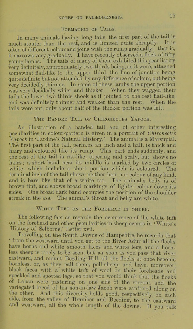 Formation of Tails. In many animals having long tails, the first part of the tail is much stouter than the rest, and is limited quite abruptly. It is often of different colour and joins with the rump gradually ; that is, it narrows very gradually. I have recently observed a flock of fifty young lambs. The tails of many of them exhibited this peculiarity very definitely, approximately two-thirds being, as it were, attached somewhat flail-like to the upper third, the line of junction being quite definite but not attended by any difference of colour, but being very decidedly thinner. In some of these lambs the upper portion was very decidedly wider and thicker. When they wagged their tails the lower two thirds shook as if jointed to the rest flail-like, and was definitely thinner and weaker than the rest. When the tails were cut, only about half of the thicker portion was left. The Banded Tail of Chironectes Yapock. An illustration of a banded tail and of other interesting peculiarities in colour-pattern is given in a portrait of Chironectes Yapoclc in ‘ Jardine’s Natural History.’ The animal is a Marsupial. The first part of the tail, perhaps an inch and a half, is thick and hairy and coloured like its rump. This part ends suddenly, and the rest of the tail is rat-like, tapering and scaly, but shows no hairs; a short band near its middle is marked by two circles of white, which include a short portion which is coloured. The terminal inch of the tail shows neither hair nor colour of any kind, and is bare like that of a white rat. The animal’s body is of brown tint, and shows broad markings of lighter colour down its sides. One broad dark band occupies the position of the shoulder streak in the ass. The animal’s throat and belly are white. White Tuft on the Forehead in Sheep. The following fact as regards the occurrence of the white tuft on the forehead and other peculiarities in sheep occurs in ‘White’s History of Selborne,’ Letter xvii. Travelling on the South Downs of Hampshire, he records that “from the westward until you get to the River Adur all the flocks have horns and white smooth faces and white legs, and a horn- less sheep is rarely to be seen, but as soon as you pass that river eastward, and mount Beeding Hill, all the flocks at once become hornless, or, as they call them, poll-sheep, and have, moreover, black faces with a white tuft of wool on their foreheads and speckled and spotted legs, so that you would think that the flocks of Laban were pasturing on one side of the stream, and the variegated breed of his son-in-law Jacob were cantoned along on the other. And this diversity holds good, respectively, on each side, from the valley of Bramber and Beeding, to the eastward and westward, all the whole length of the downs. If you talk