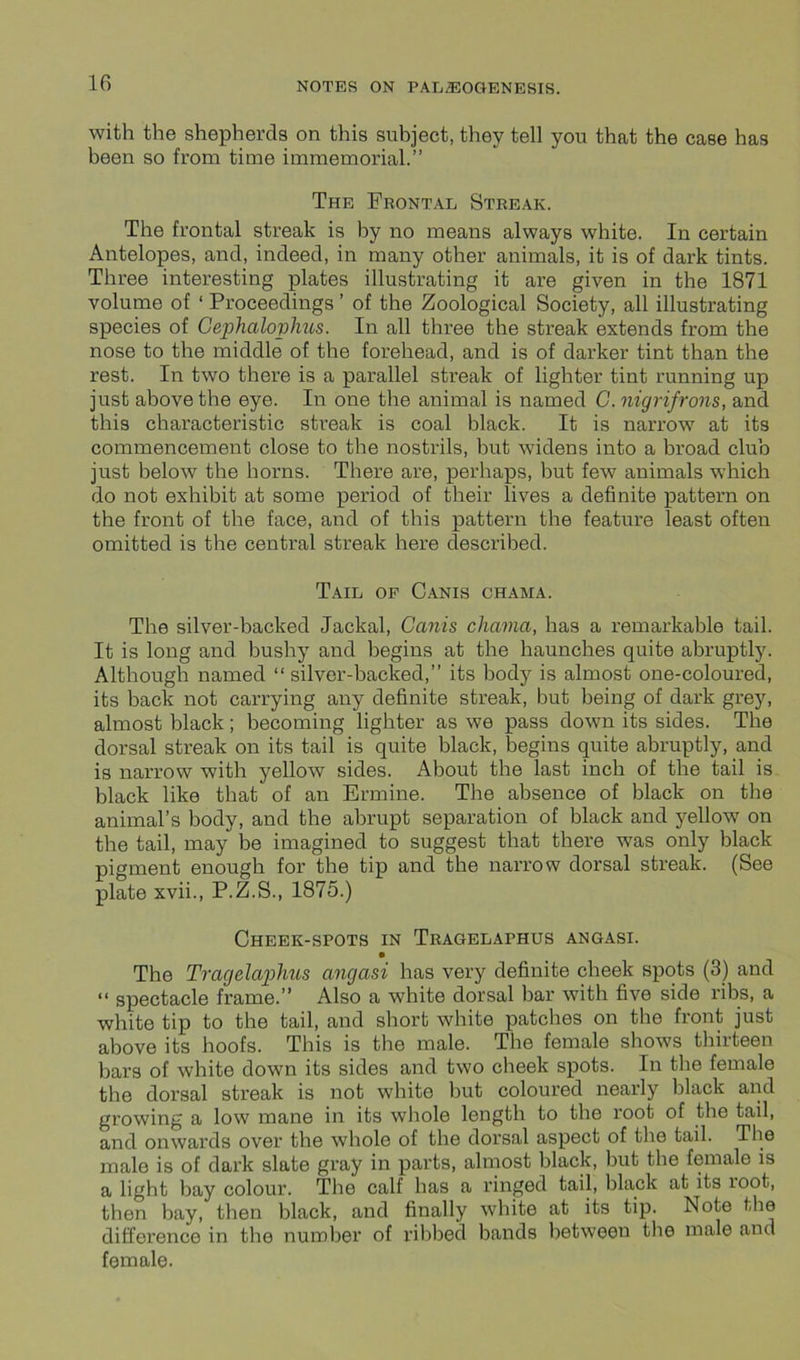 with the shepherds on this subject, they tell you that the case has been so from time immemorial.” The Frontal Streak. The frontal streak is by no means always white. In certain Antelopes, and, indeed, in many other animals, it is of dark tints. Three interesting plates illustrating it are given in the 1871 volume of ‘ Proceedings ’ of the Zoological Society, all illustrating species of Cephahphus. In all three the streak extends from the nose to the middle of the forehead, and is of darker tint than the rest. In two there is a parallel streak of lighter tint running up just above the eye. In one the animal is named G. nigrifrons, and this characteristic streak is coal black. It is narrow at its commencement close to the nostrils, but widens into a broad club just below the horns. There are, perhaps, but few animals which do not exhibit at some period of their lives a definite pattern on the front of the face, and of this pattern the feature least often omitted is the central streak here described. Tail op Canis chama. The silver-backed Jackal, Canis chama, has a remarkable tail. It is long and bushy and begins at the haunches quite abruptly. Although named “silver-backed,” its body is almost one-coloured, its back not carrying any definite streak, but being of dark grey, almost black; becoming lighter as we pass down its sides. The dorsal streak on its tail is quite black, begins quite abruptly, and is narrow with yellow sides. About the last inch of the tail is black like that of an Ermine. The absence of black on the animal’s body, and the abrupt separation of black and yellow' on the tail, may be imagined to suggest that there was only black pigment enough for the tip and the narrow dorsal streak. (See plate xvii., P.Z.S., 1875.) Cheek-spots in Tragelaphus angasi. • The Tragelaphus angasi has very definite cheek spots (3) and “ spectacle frame.” Also a white dorsal bar with five side ribs, a white tip to the tail, and short white patches on the front just above its hoofs. This is the male. The female show's thirteen bars of white dowm its sides and two cheek spots. In the female the dorsal streak is not white but coloured nearly black and growing a low mane in its whole length to the root of the tail, and onwards over the whole of the dorsal aspect of the tail. The male is of dark slate gray in parts, almost black, but the female is a light bay colour. The calf has a ringed tail, black at its loot, then bay, then black, and finally white at its tip. Note the difference in the number of ribbed bands between the male and female.