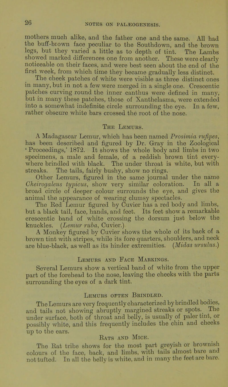 mothers much alike, and the father one and the same. All had the buff-brown face peculiar to the Southdown, and the brown legs, but they varied a little as to depth of tint. The Lambs showed marked differences one from another. These were clearly noticeable on their faces, and were best seen about the end of the first week, from which time they became gradually less distinct. The cheek patches of white were visible as three distinct ones in many, but in not a few were merged in a single one. Crescentic patches curving round the inner canthus were defined in many, but in many these patches, those of Xanthelasma, were extended into a somewhat indefinite circle surrounding the eye. In a few, rather obscure white bars crossed the root of the nose. The Lemurs. A Madagascar Lemur, which has been named Prosimia rufipes, has been described and figured by Dr. Gray in the Zoological ‘ Proceedings,’ 1872. It shows the whole body and limbs in two specimens, a male and female, of a reddish brown tint every- where brindled with black. The under throat is white, but with streaks. The tails, fairly bushy, show no rings. Other Lemurs, figured in the same journal under the name Cheirogaleus typicus, show very similar coloration. In all a broad circle of deeper colour surrounds the eye, and gives the animal the appearance of wearing clumsy spectacles. The Eed Lemur figured by Cuvier has a red body and limbs, but a black tail, face, hands, and feet. Its feet show a remarkable crescentic band of white crossing the dorsum just below the knuckles. (Lemur ruba, Cuvier.) A Monkey figured by Cuvier shows the whole of its back of a brown tint with stripes, while its fore quarters, shoulders, and neck are blue-black, as well as its hinder extremities. (Midas ursidus.) Lemurs and Face Markings. Several Lemurs show a vertical band of white from the upper part of the forehead to the nose, leaving the cheeks with the parts surrounding the eyes of a dark tint. Lemurs often Brindled. The Lemurs are very frequently characterized by brindled bodies, and tails not showing abruptly margined streaks or spots. The under surface, both of throat and belly, is usually of paler tint, oi possibly white, and this frequently includes the chin and cheeks up to the ears. Eats and Mice. The Eat tribe shows for the most part greyish or brownish colours of the face, back, and limbs, with tails almost bare and not tufted. In all the belly is white, and in many the feet are bare.