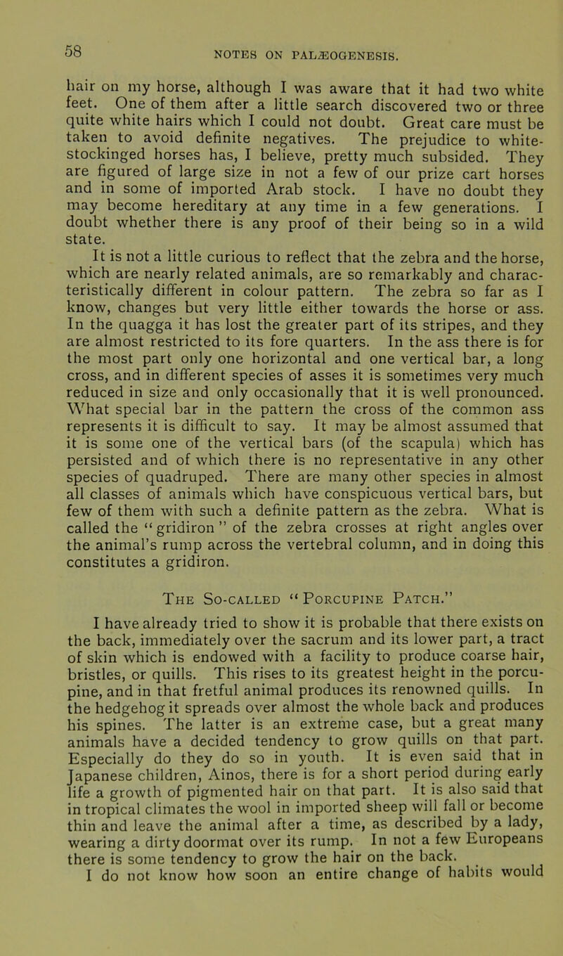 hair on my horse, although I was aware that it had two white feet. One of them after a little search discovered two or three quite white hairs which I could not doubt. Great care must be taken to avoid definite negatives. The prejudice to white- stockinged horses has, I believe, pretty much subsided. They are figured of large size in not a few of our prize cart horses and in some of imported Arab stock. I have no doubt they may become hereditary at any time in a few generations. I doubt whether there is any proof of their being so in a wild state. It is not a little curious to reflect that the zebra and the horse, which are nearly related animals, are so remarkably and charac- teristically different in colour pattern. The zebra so far as I know, changes but very little either towards the horse or ass. In the quagga it has lost the greater part of its stripes, and they are almost restricted to its fore quarters. In the ass there is for the most part only one horizontal and one vertical bar, a long cross, and in different species of asses it is sometimes very much reduced in size and only occasionally that it is well pronounced. What special bar in the pattern the cross of the common ass represents it is difficult to say. It may be almost assumed that it is some one of the vertical bars (of the scapula) which has persisted and of which there is no representative in any other species of quadruped. There are many other species in almost all classes of animals which have conspicuous vertical bars, but few of them with such a definite pattern as the zebra. What is called the “ gridiron ” of the zebra crosses at right angles over the animal’s rump across the vertebral column, and in doing this constitutes a gridiron. The So-called “ Porcupine Patch.” I have already tried to show it is probable that there exists on the back, immediately over the sacrum and its lower part, a tract of skin which is endowed with a facility to produce coarse hair, bristles, or quills. This rises to its greatest height in the porcu- pine, and in that fretful animal produces its renowned quills. In the hedgehog it spreads over almost the whole back and produces his spines. The latter is an extreme case, but a great many animals have a decided tendency to grow quills on that part. Especially do they do so in youth. It is even said that in Japanese children, Ainos, there is for a short period during early life a growth of pigmented hair on that part. It is also said that in tropical climates the wool in imported sheep will fall or become thin and leave the animal after a time, as described by a lady, wearing a dirty doormat over its rump. In not a few Europeans there is some tendency to grow the hair on the back. I do not know how soon an entire change of habits would