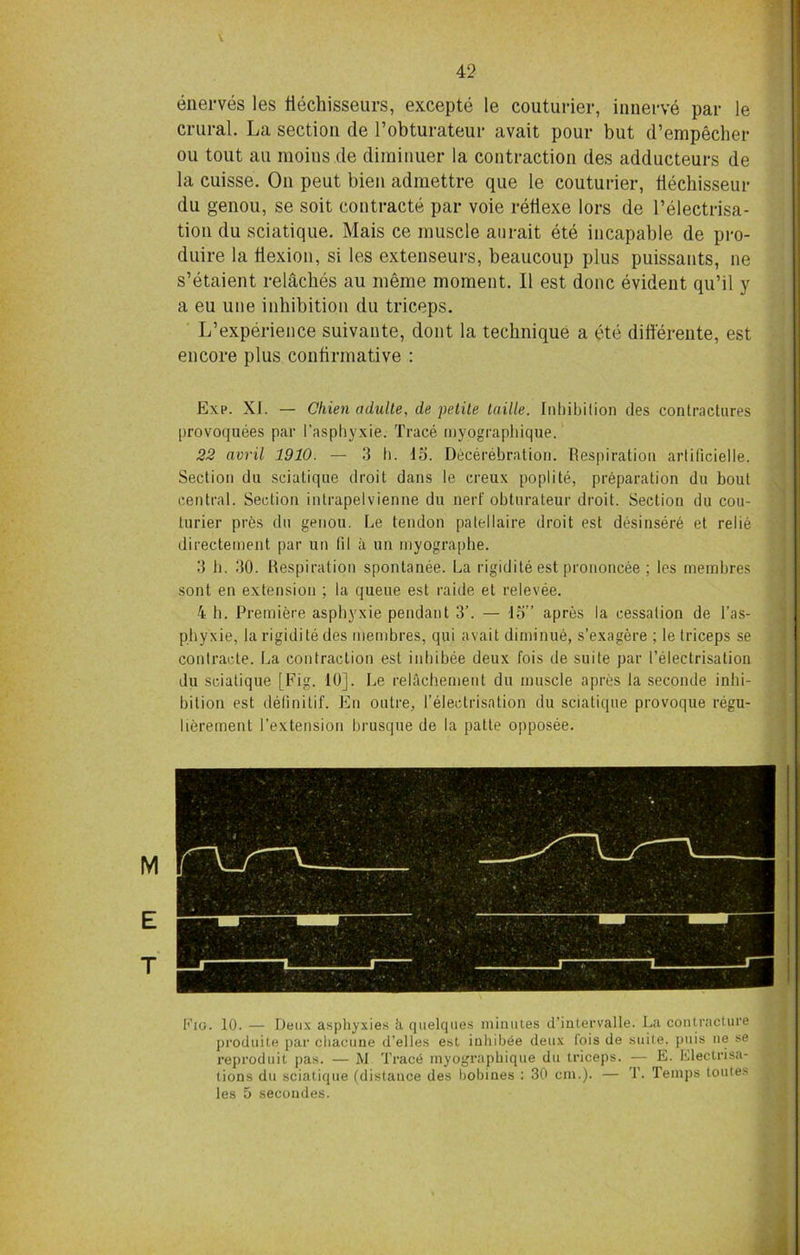 enerves les fiechisseurs, excepte le couturier, innerve par le crural. La section de l’obturateur avait pour but d’erapecher ou tout au moins de diminuer la contraction des adducteurs de la cuisse. On peut bien admettre que le couturier, tiechisseur du genou, se soit contract® par voie retiexe lors de l’electrisa- tion du sciatique. Mais ce muscle anrait ete incapable de pro- duire la tiexion, si les extenseurs, beaucoup plus puissants, ne s’etaient relaches au meme moment. II est done evident qu’il y a eu une inhibition du triceps. L’experience suivante, dont la technique a ete differente, est encore plus confirmative : Exp. XI. — Cliien adulte, de petite taille. Inhibition des contractures provoquees par l’asphyxie. Trace myographique. 22 avril 1910. — 3 I). id. Decerebrntion. Respiration artificielle. Section du sciatique droit dans le creux poplite, preparation du bout central. Section intrapeivienne du nerf obturateur droit. Section du cou- turier prbs du genou. Le tendon patellaire droit est desinser6 et relie directement par un til a uu rnyographe. 3 h. 30. Respiration spontanee. La rigidite est prononcee ; les membres sont en extension ; la queue est raide et relevee. 4 h. Premiere asphyxie pendant 3’. — id” apres la cessation de l’as- phyxie, la rigidite des membres, qui avait diminue, s’exagere ; le triceps se contracte. La contraction est inbibee deux fois de suite par (’electrisation du sciatique [Fig. 10]. Le relfichemeut du muscle apres la seconde inhi- bition est delinitif. En outre, l’electrisation du sciatique provoque regu- lierement 1’extension brusque de la patte opposee. Fig. 10. — Deux asphyxies h. quelques minutes d’intervalle. La contracture produite par chaeune d’etles est inhib^e deux fois de suite, juiis ne se reproduit pas. — M Trace myographique du triceps. — E. Electrisa- tions du sciatique (distance des bobines : 30 cm.). — T. Temps toutes les 5 secondes.