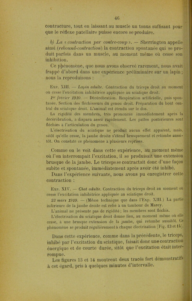 x contracture, tout en laissant au muscle un tonus suf'fisant pour que le reflexe patellaire puisse encore seproduire. b) La « contraction 'par conire-coup ». — Sherrington appelle ainsi {rebound-contraction) la contraction spontanee qui se pro- duit parfois dans un muscle, au moment meme oil cesse son inhibition. Ce phenomene, que nous avons observe rarement, nous avait frappe d’abord dans une experience preliminaire sur un lapin; nous la reproduisons : Exp. XIII. -— Lapin adulte. Contraction du triceps droit au moment oil cesse l’excitation inhibitrice appliquee au sciatique droit. ler f.eerier 1910. — Decerebration. Respiration arlilicielle, puis spon- tanee. Section des flechisseurs du genou droit. Preparation du bout ceu- tral du sciatique droit. L’animal est etendu sur le dos. La rigidite des membres, tres prononcee immediatement aprCs la decerebration, a disparu assez rapidement. Les pattes posterieures sont Heebies a 1’arliculation du genou. L’electrisation du sciatique ne produit aucun ell’et apparent, mais, S silOt qu’elle cesse, la jainbe droite s’etend brusquement et retombe aussi- t<5t. On constate ce phenomene a plusieurs reprises. Comme on le voit dans cette experience, au moment meme oil Ton interrompait l’excitation, il se produisait une extension brusque de la jambe. Le triceps se contractait done d’une fagon subite et spontanee, immediatement apres avoir ete inhibe. Dans Texperience suivante, nous avons pu enregistrer cette contraction : Exp. XIV. — Chat adulte. Contraction du triceps droit au moment oil cesse I’excitation inhibitrice appliquee au sciatique droit. 23 mars 1910. — (M6me technique que dans l’Exp. XIII.) La partie inferieure de la jainbe droite est relie a un tambour de Marey. L’animal ne presente pas de rigidite; les membres soul tlechis. L’electrisation du sciatique droit donne lieu, au moment meme oil elle cesse, il une brusque extension de la jambe, qui retombe aussitdt. Ce phenomene se produit reguliereinent a chaque electrisation [Fig. 13 et 14]. Dans cette experience, comme dans laprecedente, le triceps, inhibe par l’excitation du sciatique, faisait done une contraction energique et de courte duree, sitot que l’excitation etaitinter- rompue. Les bgures 13 et 14 montrent deux traces tort demonstratifs h cet egard, pris b quelques minutes d’intervalle.