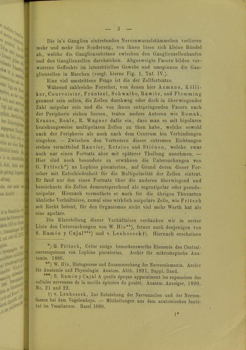 Die in’s Ganglion eintretenden Nervenwurzelstämmchen verlieren mehr und mehr ihre Sonderung, von ihnen lösen sich kleine Bündel ab, welche die Gangliensubstanz zwischen den Ganglienzellenhaufen und den Ganglienzellen durchziehen. Abgezweigte Fasern bilden ver- worrene Geflechte im interstitiellen Gewebe und umspinnen die Gan- glienzellen in Maschen (vergl. hierzu Fig. 1, Taf. IV.). Eine viel umstrittene Frage ist die der Zellfortsätze. Während zahlreiche Forscher, von denen hier Axmann, Kölli- ker, Courvoisier, Fräntzel, Schwalbe, Rawitz, und Flemming genannt sein sollen, die Zellen durchweg oder doch in überwiegender Zahl unipolar sein und die von ihnen entspringenden Fasern nach der Peripherie ziehen Hessen, traten andere Autoren wie Remak, Krause, Beale, R. Wagner dafür ein, dass man es mit bipolaren beziehungsweise multipolaren Zellen zu thun habe, welche sowohl nach der Peripherie als auch nach dem Centrum hin Verbindungen eingehen. — Zwischen den Vertretern dieser extremen Richtungen stehen vermittelnd Ranvier, Retzius und Stienon, welche zwar auch nur einen Fortsatz aber mit späterer Theilung annehmen. — Hier sind noch besonders zu erwähnen die Untersuchungen von G. Fritsch*) an Lopliius piscatorius, auf Grund deren dieser For- scher mit Entschiedenheit für die Multipolarität der Zellen eintrat. Er fand nur den einen Fortsatz über die anderen überwiegend und bezeichnete die Zellen dementsprechend als regentipolar oder pseudo- unipolar. Hiernach vermuthete er auch für die übrigen Thierarten ähnliche Verhältnisse, zumal eine wirklich unipolare Zelle, wie Fritsch mit Recht betont, für den Organismus nicht viel mehr Werth hat als eine apolare. Die Klarstellung dieser Verhältnisse verdanken wir in erster Linie den Untersuchungen von W. His**), ferner auch denjenigen von S. Ramön y Cajal***) und v. Lenhossekf). Hiernach erscheinen *) G. Fritsch, Ueber einige bemerkenswerthe Elemente des Central- nervensystems von Lophius piscatorius. Archiv für mikroskopische Ana- tomie. 1886. **) W. His, Histogenese und Zusammenhang der Nervenelemente. Archiv für Anatomie und Physiologie. Anatom. Abth. 1891. Suppl.-Band. *) S. Ramön y Cajal A quelle epoque apparaissent les expansions des cellules nerveuses de la moclle epiniere du poulet. Anatom. Anzeiger. 1890. No. 21 und 22. t) v. Lenhossek, Zur Entstehung der Nervenzellen und der Nerven- fasern bei dem Vogelembryo. — Mittheilungen aus dem anatomischen Insti- tut im Vesalianum. Basel 1890. 1*