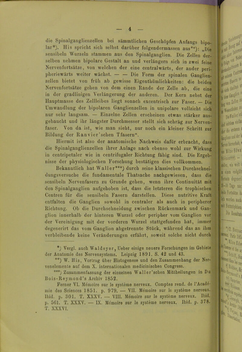 die Spinalganglienzellen bei sämmtlichen Geschöpfen Anfangs bipo- lar*). His spricht sich selbst darüber folgendermassen aus**): „Die sensibeln Wurzeln stammen aus den Spinalganglien. Die Zellen der- selben nehmen bipolare Gestalt an und verlängern sich in zwei fei ne Nervenfortsätze, von welchen der eine centralwärts, der ander peri pheriewärts weiter wächst. — — Die Form der spinalen Ganglien- zellen bietet von früh ab gewisse Eigenthiimlichkeiten: die beiden Nervenfortsätze gehen von dem einen Rande der Zelle ab, die eine in der gradlinigen Verlängerung der anderen. Der Kern nebst der Hauptmasse des Zellleibes liegt sonach excentrisch zur Faser. — Die Umwandlung der bipolaren Ganglienzellen in unipolare vollzieht sich nur sehr langsam. — Einzelne Zellen erscheinen etwas stärker aus- gebaucht und ihr längster Durchmesser stellt sich schräg zur Nerven- faser. Von da ist, wie man sieht, nur noch ein kleiner Schritt zur Bildung der Ranvier’schen Tfasern“. Hiermit ist also der anatomische Nachweis dafür erbracht, dass die Spiualganglienzellen ihrer Anlage nach ebenso wTohl zur Wirkung in centripetaler wie in centrifugaler Richtung fähig sind. Die Ergeb- nisse der physiologischen Forschung bestätigen dies vollkommen. Bekanntlich hat Waller***) durch seine klassischen Durchschnei- dungsversuche die fundamentale Thatsache nachgewiesen, dass die sensibeln Nervenfasern zu Grunde gehen, wenn ihre Continuität mit den Spinalganglien aufgehoben ist, dass die letzteren die trophiscben Centren für die sensibeln Fasern darstellen. Diese nutritive Kraft entfalten die Ganglien sowohl in centraler als auch in peripherer Richtung. Ob die Durchschneidung zwischen Rückenmark und Gan- glion innerhalb der hinteren Wurzel oder peripher vom Ganglion vor der Vereinigung mit der vorderen Wurzel stattgefunden hat, immer degenerirt das vom Ganglion abgetrennte Stück, während das an ihm verbleibende keine Veränderungen erfährt, soweit solche nicht durch , y# r folg« voo Kebe Centr1 PS« j( sich feilten Gangl'00 ■ ts*18 ’scl ielfai der fc^reD Mibe Edwa {teilen, ui ii einem en t-30 Tage beide Fortsä lieh wurden mit Fetttrö] •JCI. Paris 185, *) Vergl. auch Waldeyor, lieber einige neuere Forschungen im Gebiete der Anatomie des Nervensystems. Leipzig 1891. S. 42 und 43. **) W. Ilis, Vortrag über Histogenese und den Zusammenhang der Ner- venelemente auf dem X. internationalen medicinischen Congress. ***) Zusammenfassung der einzelnen Waller’schen Mittheilungen in Du Bois-Reymond’s Archiv 1852. Ferner VI. Memoire sur le Systeme nerveux. Comptes rend. de l’Acade- mie des Sciences 1851. p. 979. — VII. Memoire sur le Systeme nerveux. lbid. p. 301. T. XXXV. — VIII. Memoire sur le Systeme nerveux. Ibid. p. 561. T. XXXV. — IX. Memoire sur le Systeme nerveux. Ibid. p. 378. T. XXXVI.
