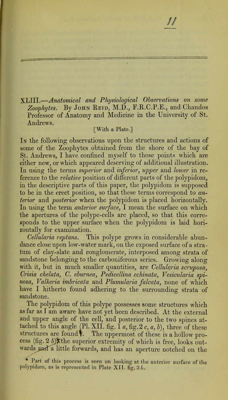 XLIII.—Anatomical and Physiological Observations on some Zoophytes. By John Reid, M.D., F.R.C.P.E., and Cliandos Professor of Anatomy and Medicine in the University of St. Andrews. [With a Plate.] In the following observations upon the structures and actions of some of the Zoophytes obtained from the shore of the bay of St. Andrews, I have confined myself to those points which are either new, or which appeared deserving of additional illustration. In using the terms superior and inferior, upper and lower in re- ference to the relative position of different parts of the polypidom, in the descriptive parts of this paper, the polypidom is supposed to be in the erect position, so that these terms correspond to an- terior and posterior when the polypidom is placed horizontally. In using the term anterior surface, I mean the surface on which the apertures of the polype-cells are placed, so that this corre- sponds to the upper surface when the polypidom is laid hori- zontally for examination. Cellularia reptans. This polype grows in considerable abun- dance close upon low-water mark, on the exposed surface of a stra- tum of clay-slate and conglomerate, interposed among strata of sandstone belonging to the carboniferous series. Growing along with it, but in much smaller quantities, are Cellulai'ia scruposa, Crisia chelata, C. eburnea, Pedicellina echinata, Vesicularia spi- nosa, Valkeria imbricata and Plumularia falcata, none of which have I hitherto found adhering to the surrounding strata of sandstone. The polypidom of this polype possesses some structures which as far as I am aware have not yet been described. At the external and upper angle of the cell, and posterior to the two spines at- tached to this angle (PL XII. fig. 1 a, fig.2 c, a, b), three of these structures are found?. The uppermost of these is a hollow pro- cess (fig. 2/^Cthe superior extremity of which is free, looks out- wardsjjnda little forwards, and has an aperture notched on the * Part of this process is seen on looking at the anterior surface of the polypidom, as is represented in Plate XII. fig. 13 L.