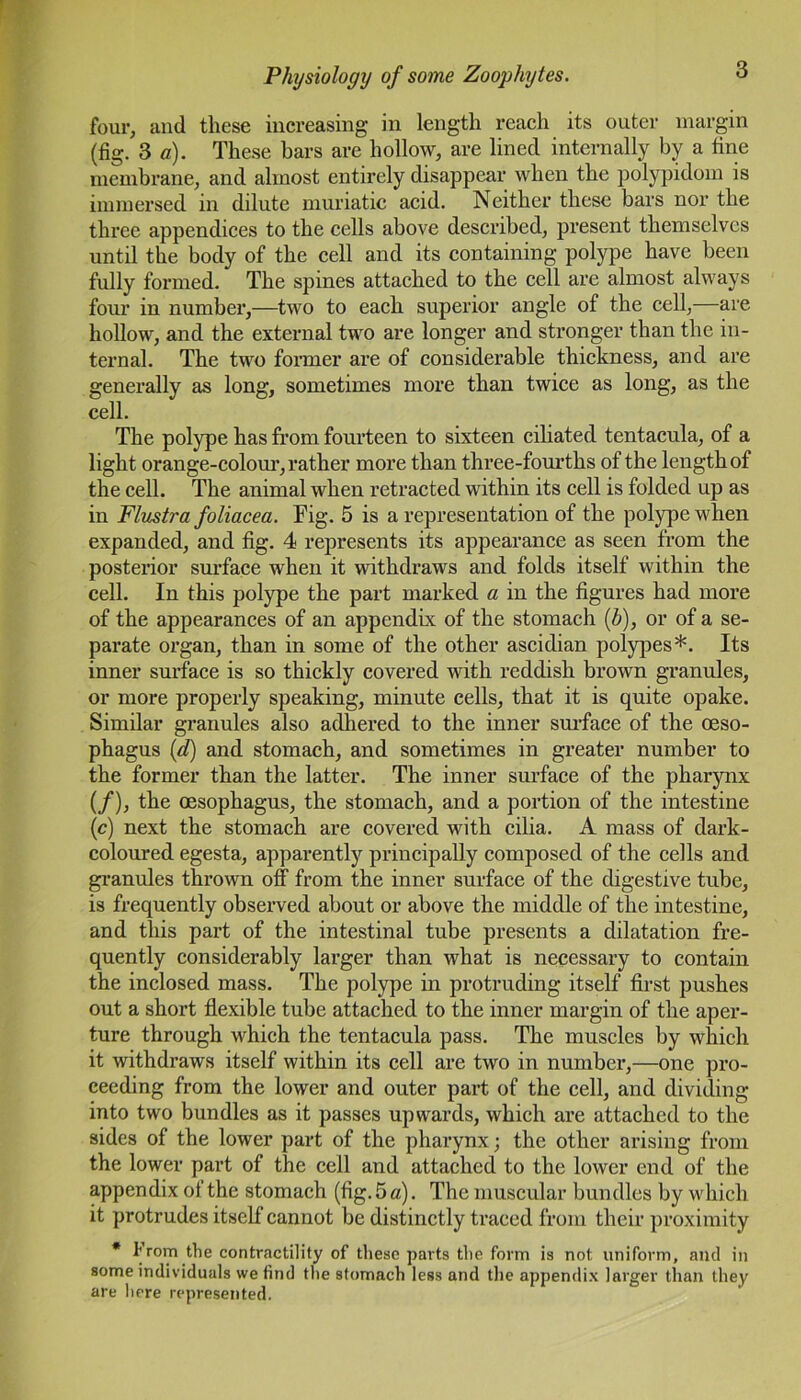 four, and these increasing in length reach its outer margin (fig. 3 a). These bars are hollow, are lined internally by a fine membrane, and almost entirely disappear when the polypidom is immersed in dilute muriatic acid. Neither these bars nor the three appendices to the cells above described, present themselves until the body of the cell and its containing polype have been fully formed. The spines attached to the cell are almost always four in number,—two to each superior angle of the cell,—are hollow, and the external two are longer and stronger than the in- ternal. The two former are of considerable thickness, and are generally as long, sometimes more than twice as long, as the cell. The polype has from fourteen to sixteen ciliated tentacula, of a light orange-colour, rather more than three-fourths of the length of the cell. The animal when retracted within its cell is folded up as in Flustra foliacea. Fig. 5 is a representation of the polype when expanded, and fig. 4 represents its appearance as seen from the posterior surface when it withdraws and folds itself within the cell. In this polype the part marked a in the figures had more of the appearances of an appendix of the stomach (b), or of a se- parate organ, than in some of the other ascidian polypes*. Its inner surface is so thickly covered with reddish brown granules, or more properly speaking, minute cells, that it is quite opake. Similar granules also adhered to the inner surface of the oeso- phagus (d) and stomach, and sometimes in greater number to the former than the latter. The inner surface of the pharynx (/), the oesophagus, the stomach, and a portion of the intestine (c) next the stomach are covered with cilia. A mass of clark- coloured egesta, apparently principally composed of the cells and granules thrown off from the inner surface of the digestive tube, is frequently observed about or above the middle of the intestine, and this part of the intestinal tube presents a dilatation fre- quently considerably larger than what is necessary to contain the inclosed mass. The polype in protruding itself first pushes out a short flexible tube attached to the inner margin of the aper- ture through which the tentacula pass. The muscles by which it withdraws itself within its cell are two in number,—one pro- ceeding from the lower and outer part of the cell, and dividing into two bundles as it passes upwards, which are attached to the sides of the lower part of the pharynx; the other arising from the lower part of the cell and attached to the lower end of the appendix of the stomach (fig.5«). The muscular bundles by which it protrudes itself cannot be distinctly traced from their proximity * l]roiy file contractility of these parts the form is not uniform, and in some individuals we find the stomach less and the appendix larger than they are here represented.