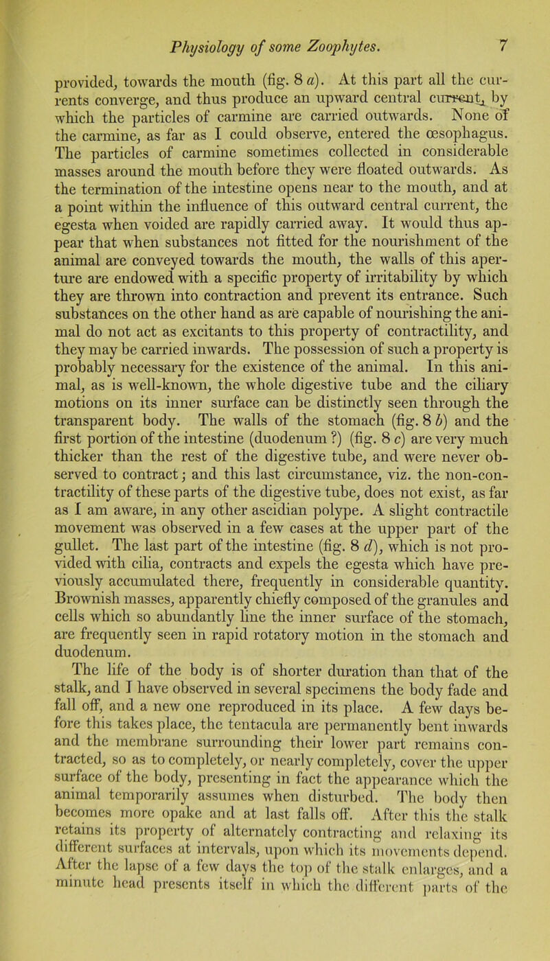 provided, towards the mouth (fig. 8 a). At this part all the cur- rents converge, and thus produce an upward central current* by which the particles of carmine are carried outwards. None of the carmine, as far as I could observe, entered the oesophagus. The particles of carmine sometimes collected in considerable masses around the mouth before they were floated outwards. As the termination of the intestine opens near to the mouth, and at a point within the influence of this outward central current, the egesta when voided are rapidly carried away. It would thus ap- pear that when substances not fitted for the nourishment of the animal are conveyed towards the mouth, the walls of this aper- ture are endowed with a specific property of irritability by which they are thrown into contraction and prevent its entrance. Such substances on the other hand as are capable of nourishing the ani- mal do not act as excitants to this property of contractility, and they may be carried inwards. The possession of such a property is probably necessary for the existence of the animal. In this ani- mal, as is well-known, the whole digestive tube and the ciliary motions on its inner surface can be distinctly seen through the transparent body. The walls of the stomach (fig. 8 b) and the first portion of the intestine (duodenum ?) (fig. 8 c) are very much thicker than the rest of the digestive tube, and were never ob- served to contract; and this last circumstance, viz. the non-con- tractility of these parts of the digestive tube, does not exist, as far as I am aware, in any other ascidian polype. A slight contractile movement was observed in a few cases at the upper part of the gullet. The last part of the intestine (fig. 8 cl), which is not pro- vided with cilia, contracts and expels the egesta which have pre- viously accumulated there, frequently in considerable quantity. Brownish masses, apparently chiefly composed of the granules and cells which so abundantly line the inner surface of the stomach, are frequently seen in rapid rotatory motion in the stomach and duodenum. The life of the body is of shorter duration than that of the stalk, and I have observed in several specimens the body fade and fall off, and a new one reproduced in its place. A few days be- fore this takes place, the tentacula are permanently bent inwards and the membrane surrounding their lower part remains con- tracted, so as to completely, or nearly completely, cover the upper surface of the body, presenting in fact the appearance which the animal temporarily assumes when disturbed. The body then becomes more opake and at last falls off. After this the stalk retains its property of alternately contracting and relaxing its different surfaces at intervals, upon which its movements depend. After the lapse of a few days the top of the stalk enlarges, and a minute head presents itself in which the different parts of the