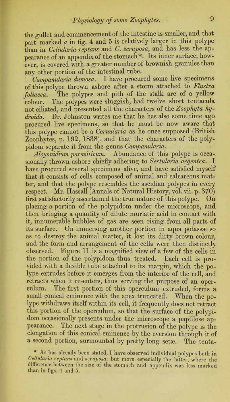 the gullet and commencement of the intestine is smaller, and that part marked a in fig. 4 and 5 is relatively larger in this polype than in Cellularia reptans and C. scruposa, and has less the ap- pearance of an appendix of the stomach*. Its inner surface, how- ever, is covered with a greater number of brownish granules than any other portion of the intestinal tube. Campanularia dumosa. I have procured some live specimens of this polype thrown ashore after a storm attached to Flustra foliacea. The polypes and pith of the stalk are of a yellow colour. The polypes were sluggish, had twelve short tentacula not ciliated, and presented all the characters of the Zoophyta hy- droida. Dr. Johnston writes me that he has also some time ago procured live specimens, so that he must be now aware that this polype cannot be a Cornularia as he once supposed (British Zoophytes, p. 192, 1838), and that the characters of the poly- pidom separate it from the genus Campanularia. Alcyonidium parasiticum. Abundance of this polype is occa- sionally thrown ashore chiefly adhering to Sertularia argentea. I have procured several specimens alive, and have satisfied myself that it consists of cells composed of animal and calcareous mat- ter, and that the polype resembles the ascidian polypes in every respect. Mr. Hassall (Annals of Natural History, vol. vii. p. 370) first satisfactorily ascertained the true nature of this polype. On placing a portion of the polypidom under the microscope, and then bringing a quantity of dilute muriatic acid in contact with it, innumerable bubbles of gas are seen rising from all parts of its surface. On immersing another portion in aqua potassse so as to destroy the animal matter, it lost its dirty brown colour, and the form and arrangement of the cells were then distinctly observed. Figure 11 is a magnified view of a few of the cells in the portion of the polypidom thus treated. Each cell is pro- vided with a flexible tube attached to its margin, which the po- lype extrudes before it emerges from the interior of the cell, and retracts when it re-enters, thus serving the purpose of an oper- culum. The first portion of this operculum extruded, forms a small conical eminence with the apex truncated. When the po- lype withdraws itself within its cell, it frequently does not retract this portion of the operculum, so that the surface of the polypi- dom occasionally presents under the microscope a papillose ap- pearance. The next stage in the protrusion of the polype is the elongation of this conical eminence by the eversion through it of a second portion, surmounted by pretty long setsc. The tenta- * As has already been stated, I have observed individual polypes both in Cellularia reptans and scruposa, but more especially the latter, where the difference between the size of the stomach and appendix was less marked than in figs. 4 and 5.