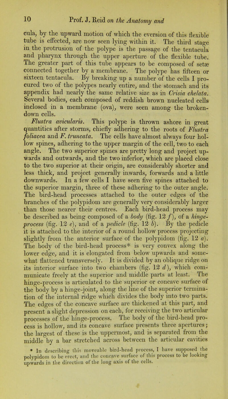 cula, by the upward motion of which the eversion of this flexible tube is effected, are now seen lying within it. The third stage in the protrusion of the polype is the passage of the tentacula and pharynx through the upper aperture of the flexible tube. The greater part of this tube appears to be composed of setae connected together by a membrane. The polype has fifteen or sixteen tentacula. By breaking up a number of the cells I pro- cured two of the polypes nearly entire, and the stomach and its appendix had nearly the same relative size as in Crisia chelata. Several bodies, each composed of reddish brown nucleated cells inclosed in a membrane (ova), were seen among the broken- down cells. Flustra avicularis. This polype is thrown ashore in great quantities after storms, chiefly adhering to the roots of Flustra foliacea and F. truncata. The cells have almost always four hol- low spines, adhering to the upper margin of the cell, two to each angle. The two superior spines are pretty long and project up- wards and outwards, and the two inferior, which are placed close to the two superior at then origin, are considerably shorter and less thick, and project generally inwards, forwards and a little downwards. In a few cells I have seen five spines attached to the superior margin, three of these adhering to the outer angle. The bird-head processes attached to the outer edges of the branches of the polypidom are generally very considerably larger than those nearer their centres. Each bird-head process may be described as being composed of a body (fig. 12/), of a hinge- process (fig. 12 e), and of a pedicle (fig. 12 b). By the pedicle it is attached to the interior of a round hollow process projecting slightly from the anterior surface of the polypidom (fig. 12 a). The body of the bird-head process* is very convex along the lower edge, and it is elongated from below upwards and some- what flattened transversely. It is divided by an oblique ridge on its interior surface into two chambers (fig. 12 d), which com- municate freely at the superior and middle parts at least. The hinge-process is articulated to the superior or concave surface of the body by a hinge-joint, along the line of the superior termina- tion of the internal ridge which divides the body into two parts. The edges of the concave surface are thickened at this part, and present a slight depression on each, for receiving the two articular processes of the hinge-process. The body of the bird-head pro- cess is hollow, and its concave surface presents three apertures; the largest of these is the uppermost, and is separated from the middle by a bar stretched across between the articular cavities * In describing this moveable bird-head process, I have supposed the polypidom to be erect, and the concave surface of this process to be looking upwards in the direction ol the long uxis of the cells.