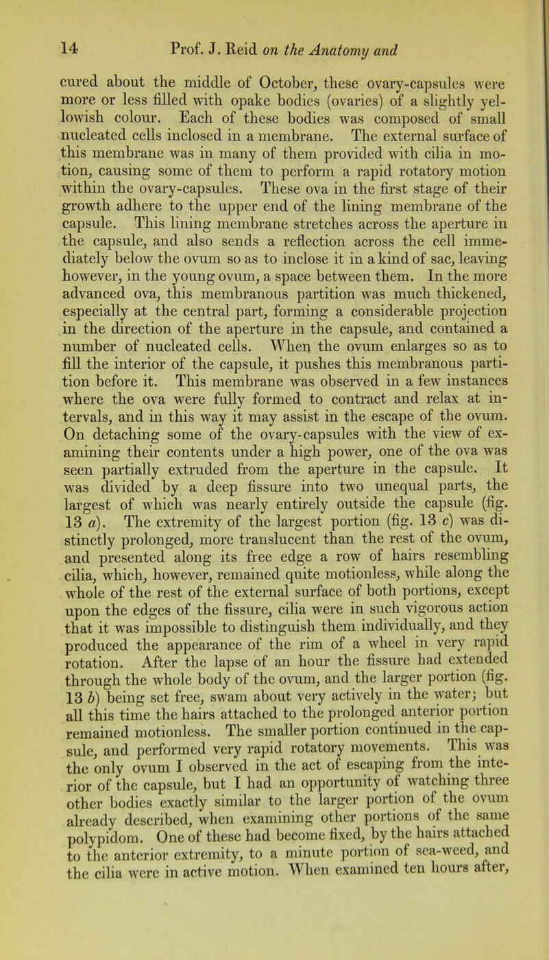 cured about the middle of October, these ovary-capsules were more or less filled with opake bodies (ovaries) of a slightly yel- lowish colour. Each of these bodies was composed of small nucleated cells inclosed in a membrane. The external surface of this membrane was in many of them provided with cilia in mo- tion, causing some of them to perform a rapid rotatory motion within the ovary-capsules. These ova in the first stage of their growth adhere to the upper end of the lining membrane of the capsule. This lining membrane stretches across the aperture in the capsule, and also sends a reflection across the cell imme- diately below the ovum so as to inclose it in a kind of sac, leaving however, in the young ovum, a space between them. In the more advanced ova, this membranous partition was much thickened, especially at the central part, forming a considerable projection in the direction of the aperture in the capsule, and contained a number of nucleated cells. When the ovum enlarges so as to fill the interior of the capsule, it pushes this membranous parti- tion before it. This membrane was observed in a few instances where the ova were fully formed to contract and relax at in- tervals, and in this way it may assist in the escape of the ovum. On detaching some of the ovary-capsules with the view of ex- amining their contents under a high power, one of the ova was seen partially extruded from the aperture in the capsule. It was divided by a deep fissure into two unequal parts, the largest of which was nearly entirely outside the capsule (fig. 13 a). The extremity of the largest portion (fig. 13 c) was di- stinctly prolonged, more translucent than the rest of the ovum, and presented along its free edge a row of hairs resembling cilia, which, however, remained quite motionless, while along the whole of the rest of the external surface of both portions, except upon the edges of the fissure, cilia were in such vigorous action that it was impossible to distinguish them individually, and they produced the appearance of the rim of a wheel in very rapid rotation. After the lapse of an hour the fissure had extended through the whole body of the ovum, and the larger portion (fig. 13 b) being set free, swam about very actively in the water; but all this time the hairs attached to the prolonged anterior portion remained motionless. The smaller portion continued in the cap- sule, and performed very rapid rotatory movements. This was the only ovum I observed in the act of escaping from the inte- rior of the capsule, but I had an opportunity of watching three other bodies exactly similar to the larger portion of the ovum already described, when examining other portions of the same polypidom. One of these had become fixed, by the hairs attached to the anterior extremity, to a minute portion of sea-weed, and the cilia were in active motion. When examined ten hours after.