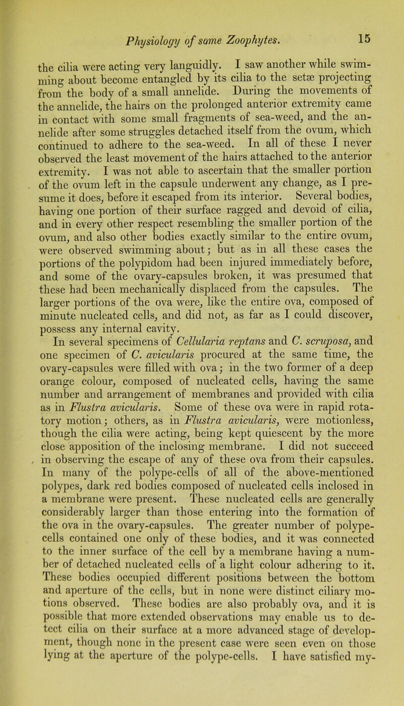 the cilia were acting very languidly. I saw another while swim- ming about become entangled by its cilia to the seta; projecting from the body of a small annelide. During the movements of the annelide, the hairs on the prolonged anterior extremity came in contact with some small fragments of sea-weed, and the an- nelide after some struggles detached itself from the ovum, which continued to adhere to the sea-weed. In all of these I never observed the least movement of the hairs attached to the anterior extremity. I was not able to ascertain that the smaller portion of the ovum left in the capsule underwent any change, as I pre- sume it does, before it escaped from its interior. Several bodies, having one portion of their surface ragged and devoid of cilia, and in every other respect resembling the smaller portion of the ovum, and also other bodies exactly similar to the entire ovum, were observed swimming about; but as in all these cases the portions of the polypidom had been injured immediately before, and some of the ovary-capsules broken, it was presumed that these had been mechanically displaced from the capsules. The larger portions of the ova were, like the entire ova, composed of minute nucleated cells, and did not, as far as I could discover, possess any internal cavity. In several specimens of Cellularia reptans and C. scruposa, and one specimen of C. avicularis procured at the same time, the ovary-capsules were filled with ova; in the two former of a deep orange colour, composed of nucleated cells, having the same number and arrangement of membranes and provided with cilia as in Flustra avicularis. Some of these ova were in rapid rota- tory motion; others, as in Flustra avicularis, were motionless, though the cilia were acting, being kept quiescent by the more close apposition of the inclosing membrane. I did not succeed , in observing the escape of any of these ova from their capsules. In many of the polype-cells of all of the above-mentioned polypes, dark red bodies composed of nucleated cells inclosed in a membrane were present. These nucleated cells are generally considerably larger than those entering into the formation of the ova in the ovary-capsules. The greater number of polype- cells contained one only of these bodies, and it was connected to the inner surface of the cell by a membrane having a num- ber of detached nucleated cells of a light colour adhering to it. These bodies occupied different positions between the bottom and aperture of the cells, but in none were distinct ciliary mo- tions observed. These bodies are also probably ova, and it is possible that more extended observations may enable us to de- tect cilia on their surface at a more advanced stage of develop- ment, though none in the present case were seen even on those lying at the aperture of the polype-cells. I have satisfied my-