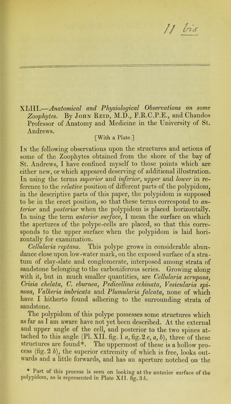 XLIII.—Anatomical and Physiological Observations on some Zoophytes. By John Reid, M.D., F.R.C.P.E., and Ckandos Professor of Anatomy and Medicine in the University of St. Andrews. [With a Plate.] In the following observations upon the structures and actions of some of the Zoophytes obtained from the shore of the bay of St. Andrews, I have confined myself to those points which are either new, or which appeared deserving of additional illustration. In using the terms superior and inferior, upper and lower in re- ference to the relative position of different parts of the polypidom, in the descriptive parts of this paper, the polypidom is supposed to be in the erect position, so that these terms correspond to an- terior and posterior when the polypidom is placed horizontally. In using the term anterior surface, I mean the surface on which the apertures of the polype-cells are placed, so that this corre- sponds to the upper surface when the polypidom is laid hori- zontally for examination. Cellularia reptans. This polype grows in considerable abun- dance close upon low-water mark, on the exposed surface of a stra- tum of clay-slate and conglomerate, interposed among strata of sandstone belonging to the carboniferous series. Growing along with it, but in much smaller quantities, are Cellularia scruposa, Crisia chelata, C. eburnea, Pedicellina echinata, Vesicularia spi- nosa, Valkeria imbricata and Plumularia falcata, none of which have I hitherto found adhering to the surrounding strata of sandstone. The polypidom of this polype possesses some structures which as far as I am aware have not yet been described. At the external and upper angle of the cell, and posterior to the two spines at- tached to this angle (PI. XII. fig. 1 a, fig.2 c, a, b), three of these structures are found*. The uppermost of these is a hollow pro- cess (fig. 2 b), the superior extremity of which is free, looks out- wards and a little forwards, and has an aperture notched on the * Part of this process is seen on looking at the anterior surface of the polypidom, as is represented in Plate XII. fig. 3 b.