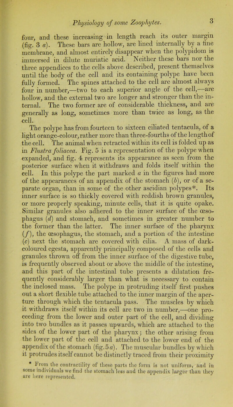four, and these increasing in length reach its outer margin (fig. 3 a). These bars are hollow, are lined internally by a fine membrane, and almost entirely disappear when the polypidom is immersed in dilute muriatic acid. Neither these bars nor the three appendices to the cells above described, present themselves until the body of the cell and its containing polype have been fully formed. The spines attached to the cell are almost always four in number,—two to each superior angle of the cell,—are hollow, and the external two are longer and stronger than the in- ternal. The two former are of considerable thickness, and are generally as long, sometimes more than twice as long, as the cell. The polype has from fourteen to sixteen ciliated tentacula, of a light orange-colour, rather more than three-fourths of the length of the cell. The animal when retracted within its cell is folded up as in Flustra foliacea. Fig. 5 is a representation of the polype when expanded, and fig. 4 represents its appearance as seen from the posterior surface when it withdraws and folds itself within the cell. In this polype the part marked a in the figures had more of the appearances of an appendix of the stomach (b), or of a se- parate organ, than in some of the other ascidian polypes*. Its inner surface is so thickly covered with reddish brown granules, or more properly speaking, minute cells, that it is quite opake. Similar granules also adhered to the inner surface of the oeso- phagus (d) and stomach, and sometimes in greater number to the former than the latter. The inner surface of the pharynx (/), the oesophagus, the stomach, and a portion of the intestine (c) next the stomach are covered with cilia. A mass of dark- coloured egesta, apparently principally composed of the cells and granules thrown off from the inner surface of the digestive tube, is frequently observed about or above the middle of the intestine, and this part of the intestinal tube presents a dilatation fre- quently considerably larger than what is necessary to contain the inclosed mass. The polype in protruding itself first pushes out a short flexible tube attached to the inner margin of the aper- ture through which the tentacula pass. The muscles by which it withdraws itself within its cell are two in number,—one pro- ceeding from the lower and outer part of the cell, and dividing into two bundles as it passes upwards, which are attached to the sides of the lower part of the pharynx; the other arising from the lower part of the cell and attached to the lower end of the appendix of the stomach (fig. 5 a). The muscular bundles by which it protrudes itself cannot be distinctly traced from their proximity * Prom the contractility of these parts the form is not uniform, and in some individuals we find the stomach less and the appendix larger than they are here represented.