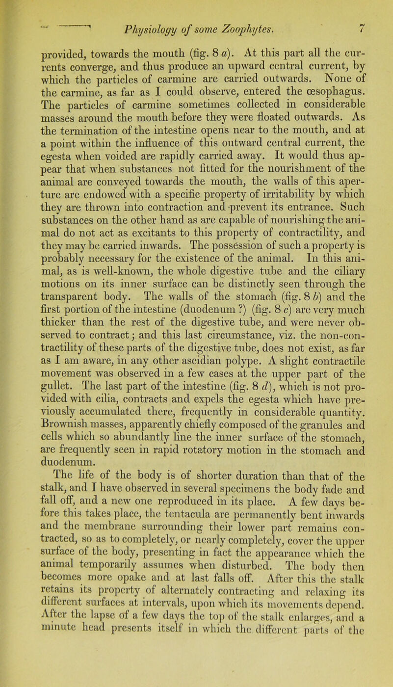 provided, towards the mouth (fig. 8 a). At this part all the cur- rents converge, and thus produce an upward central current, by which the particles of carmine are carried outwards. None of the carmine, as far as I could observe, entered the oesophagus. The particles of carmine sometimes collected in considerable masses around the mouth before they were floated outwards. As the termination of the intestine opens near to the mouth, and at a point within the influence of this outward central current, the egesta when voided are rapidly carried away. It would thus ap- pear that when substances not fitted for the nourishment of the animal are conveyed towards the mouth, the walls of this aper- ture are endowed with a specific property of irritability by which they are thrown into contraction and prevent its entrance. Such substances on the other hand as are capable of nourishing the ani- mal do not act as excitants to this property of contractility, and they may be carried inwards. The possession of such a property is probably necessary for the existence of the animal. In this ani- mal, as is well-known, the whole digestive tube and the ciliary motions on its inner surface can be distinctly seen through the transparent body. The walls of the stomach (fig. 8 b) and the first portion of the intestine (duodenum ?) (fig. 8 c) are very much thicker than the rest of the digestive tube, and were never ob- served to contract; and this last circumstance, viz. the non-con- tractility of these parts of the digestive tube, does not exist, as far as I am aware, in any other ascidian polype. A slight contractile movement was observed in a few cases at the upper part of the gullet. The last part of the intestine (fig. 8 d), which is not pro- vided with cilia, contracts and expels the egesta which have pre- viously accumulated there, frequently in considerable quantity. Brownish masses, apparently chiefly composed of the granules and cells which so abundantly line the inner surface of the stomach, are frequently seen in rapid rotatory motion in the stomach and duodenum. The life of the body is of shorter duration than that of the stalk, and I have observed in several specimens the body fade and fall off, and a new one reproduced in its place. A few days be- fore this takes place, the tentacula are permanently bent inwards and the membrane surrounding their lower part remains con- tracted, so as to completely, or nearly completely, cover the upper surface of the body, presenting in fact the appearance which the animal temporarily assumes when disturbed. The body then becomes more opakc and at last falls off. After this the stalk retains its property of alternately contracting and relaxing its different surfaces at intervals, upon which its movements depend. After the lapse of a few days the top of the stalk enlarges, and a minute head presents itself in which the different parts of the