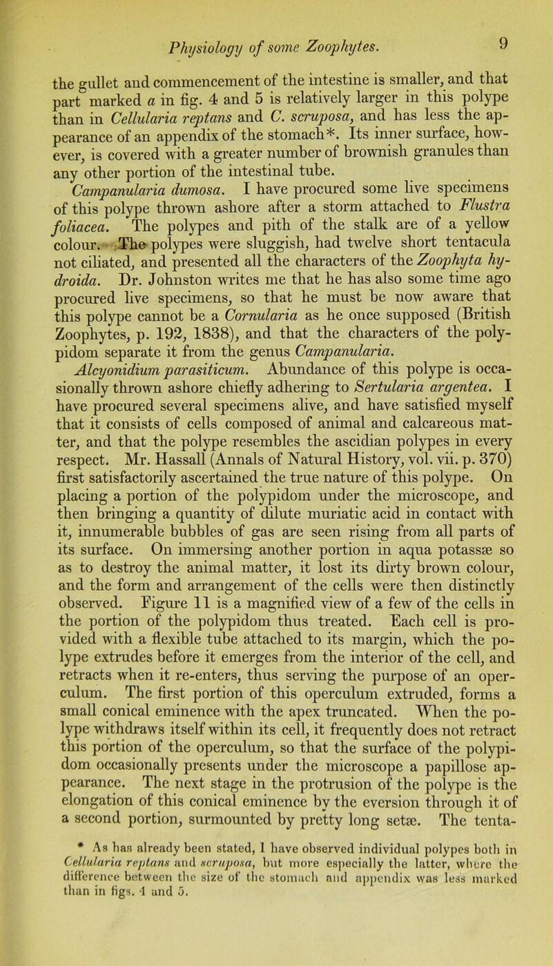 the gullet and commencement of the intestine is smaller, and that part marked a in fig. 4 and 5 is relatively larger in this polype than in Cellulciria rep tans and C. scruposa, and has less the ap- pearance of an appendix of the stomach*. Its inner surface, how- ever, is covered with a greater number of brownish granules than any other portion of the intestinal tube. Campanularia dumosa. I have procured some live specimens of this polype thrown ashore after a storm attached to Flustra foliacea. The polypes and pith of the stalk are of a yellow colour. Tho polypes were sluggish, had twelve short tentacula not cibated, and presented all the characters of the Zoophyta hy- droida. Dr. Johnston writes me that he has also some time ago procured live specimens, so that he must be now aware that this polype cannot be a Cornularia as he once supposed (British Zoophytes, p. 192, 1838), and that the characters of the poly- pidom separate it from the genus Campanularia. Alcyonidium parasiticum. Abundance of this polype is occa- sionally thrown ashore chiefly adhering to Sertularia argentea. I have procured several specimens alive, and have satisfied myself that it consists of cells composed of animal and calcareous mat- ter, and that the polype resembles the ascidian polypes in every respect. Mr. Hassall (Annals of Natural History, vol. vii. p. 370) first satisfactorily ascertained the true nature of this polype. On placing a portion of the polypidom under the microscope, and then bringing a quantity of dilute muriatic acid in contact with it, innumerable bubbles of gas are seen rising from all parts of its surface. On immersing another portion in aqua potassae so as to destroy the animal matter, it lost its dirty brown colour, and the form and arrangement of the cells were then distinctly observed. Figure 11 is a magnified view of a few of the cells in the portion of the polypidom thus treated. Each cell is pro- vided with a flexible tube attached to its margin, which the po- lype extrudes before it emerges from the interior of the cell, and retracts when it re-enters, thus serving the purpose of an oper- culum. The first portion of this operculum extruded, forms a small conical eminence with the apex truncated. When the po- lype withdraws itself within its cell, it frequently does not retract this portion of the operculum, so that the surface of the polypi- dom occasionally presents under the microscope a papillose ap- pearance. The next stage in the protrusion of the polype is the elongation of this conical eminence by the eversion through it of a second portion, surmounted by pretty long setae. The tenta- * As has already been stated, 1 have observed individual polypes both in Cellularia rep tans and scruposa, but more especially the latter, where the difference between the size of the stomach and appendix was less marked than in figs. 4 and 5.