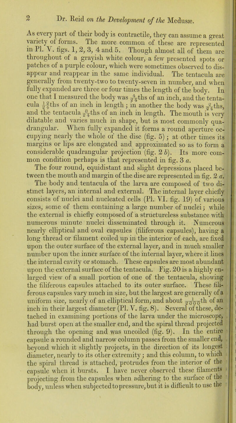 As every part of their body is contractile, they can assume a great variety of forms. The more common of these are represented in PI. Y. figs. 1, 2, 3, 4 and 5. Though almost all of them are throughout of a grayish white colour, a few presented spots or patches of a purple colour, which were sometimes observed to dis- appear and reappear in the same individual. The tentacula are generally from twenty-two to twenty-seven in number, and when fully expanded are three or four times the length of the body. In one that I measured the body was ^\ths of an inch, and the tenta- cula ths of an inch in length • in another the body was |fths, and the tentacula /¥tlis of an inch in length. The mouth is very dilatable and varies much in shape, but is most commonly qua- drangular. When fully expanded it forms a round aperture oc- cupying nearly the whole of the disc (fig. 5); at other times its margins or lips are elongated and approximated so as to form a considerable quadrangular projection (fig. 2 b). Its more com- mon condition perhaps is that represented in fig. 3 a. The four round, equidistant and slight depressions placed be- tween the mouth and margin of the disc are represented in fig. 2 a. The body and tentacula of the larva are composed of two di- stinct layers, an internal and external. The internal layer chiefly consists of nuclei and nucleated cells (PI. VI. fig. 19) of various sizes, some of them containing a large number of nuclei; while the external is chiefly composed of a structureless substance with numerous minute nuclei disseminated through it. Numerous nearly elliptical and oval capsules (filiferous capsules), having a long thread or filament coiled up in the interior of each, are fixed upon the outer surface of the external layer, and in much smaller number upon the inner surface of the internal layer, where it lines the internal cavity or stomach. These capsules are most abundant upon the external surface of the tentacula. Pig. 20 is a highly en- larged view of a small portion of one of the tentacula, showing the filiferous capsules attached to its outer surface. These fili- ferous capsules vary much in size, but the largest are generally of a uniform size, nearly of an elliptical form, and about ^oVan inch in their largest diameter (PI. V. fig. 8). Several of these, de- tached in examining portions of the larva under the microscope, had hurst open at the smaller end, and the spiral thread projected through the opening and was uncoiled (fig. 9). In the entire capsule a rounded and narrow column passes from the smaller end, beyond which it slightly projects, in the direction of its longest diameter, nearly to its other extremity; and this column, to which the spiral thread is attached, protrudes from the interior of the capsule when it bursts. I have never observed these filaments projecting from the capsules when adhering to the surface of the body, unless when subjected to pressure, but it is difficult to use the