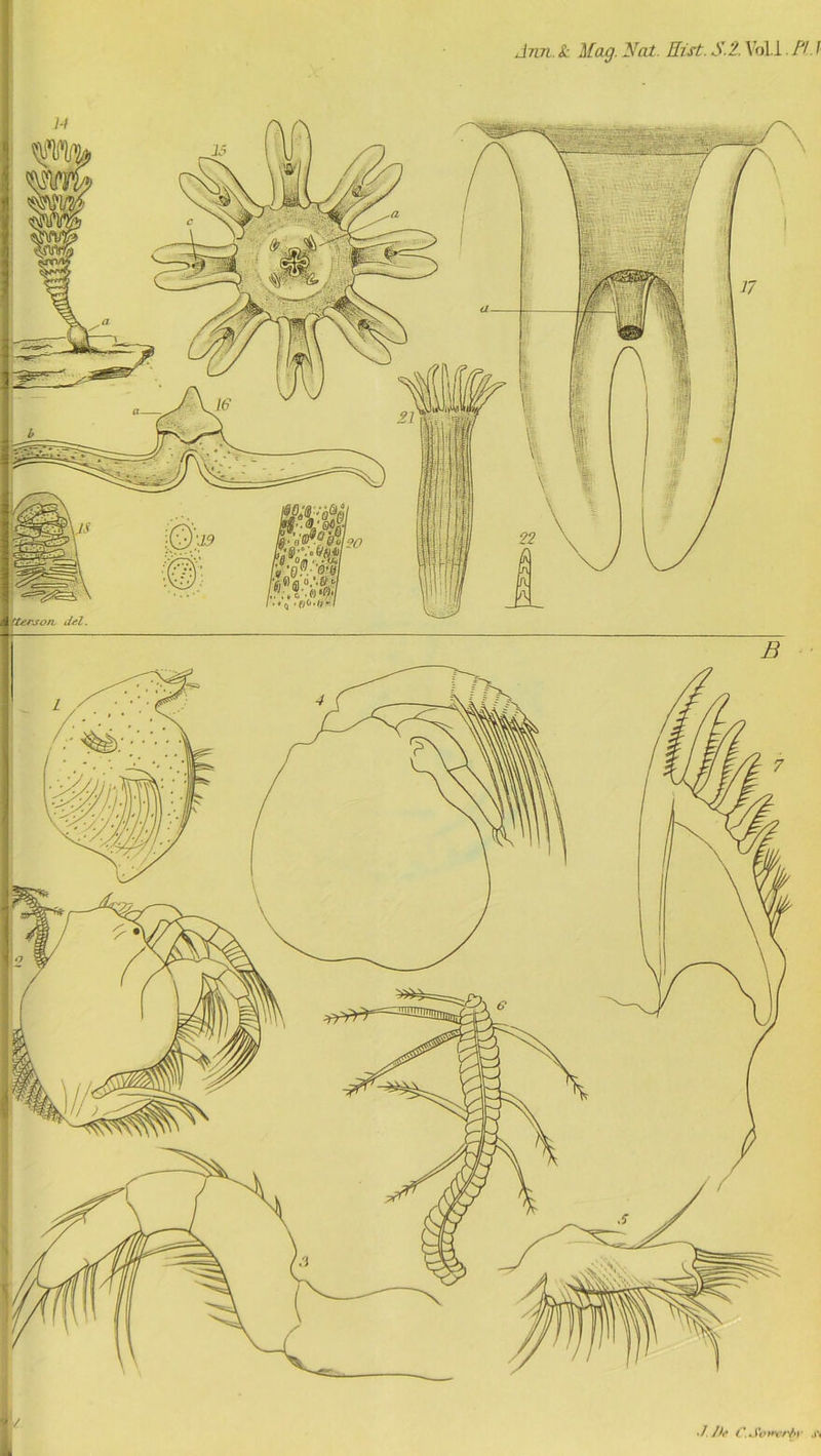 Ann. & Mag. Mat. Hist. S.2. Voli FI. I