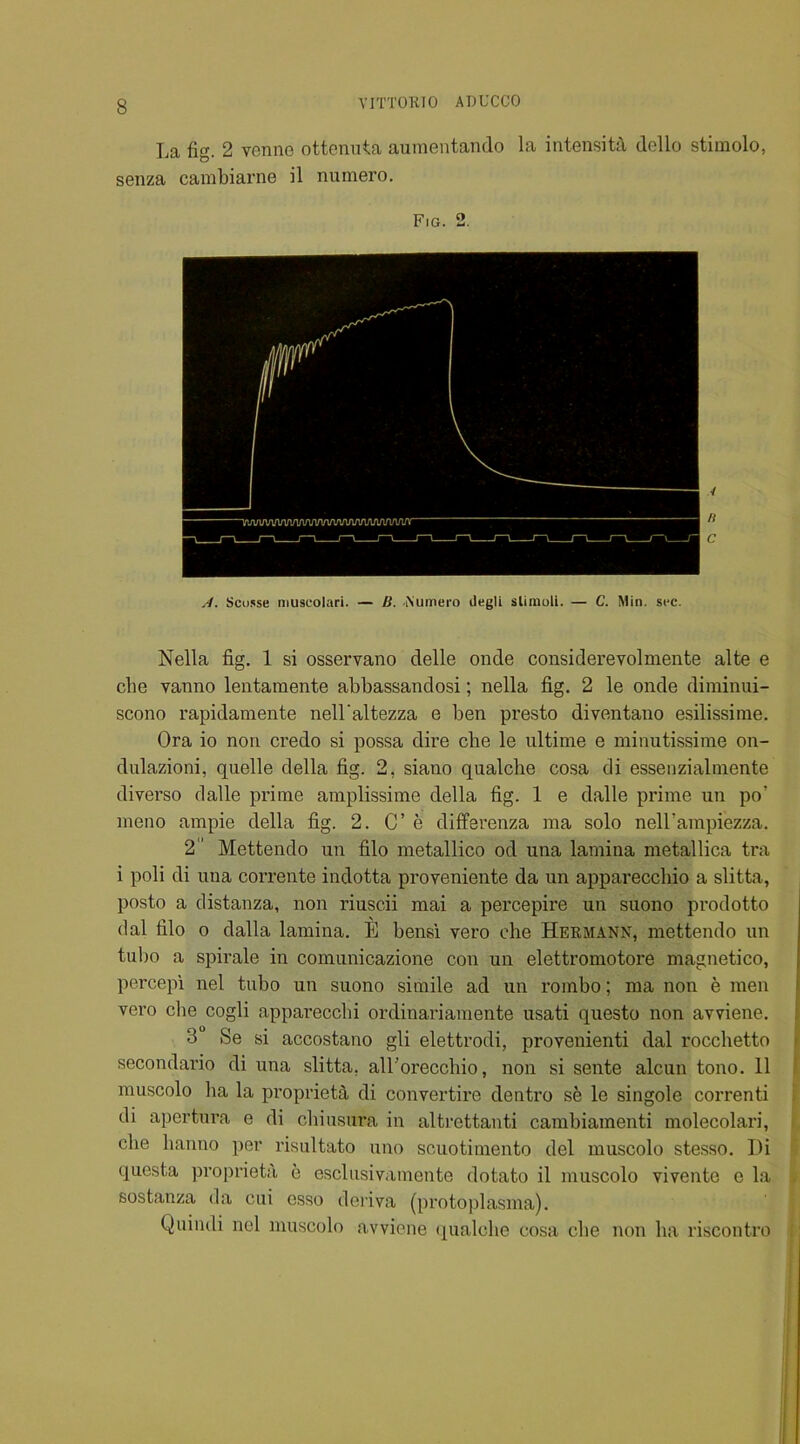 La fig. 2 venne ottenuta aumentando la intensity dello stimolo, senza cambiarne il numero. Fig. 2. A. Scusse muscolari. — B. Aumero ilegli stimuli. — C. Min. sec. Nella fig. 1 si osservano delle onde considerevolmente alte e chc vanno lentamente abbassandosi; nella fig. 2 le onde diminui- scono rapidamente nell'altezza e ben presto diventano esilissirae. Ora io non credo si possa dire clie le ultime e minutissime on- dulazioni, quelle della fig. 2, siano qualche cosa di essenzialmente diverso dalle prime amplissime della fig. 1 e dalle prime un po? meno ampie della fig. 2. C’ e differenza ma solo nell’ampfezza. 2 Mettendo un filo metallico od una lamina metallica tra i poli di una corrente indotta proveniente da un apparecchio a slitta, posto a distanza, non riuscii mai a percepire un suono prodotto dal filo o dalla lamina. E bensi vero ehe Hermann, mettendo un tubo a spirale in comunicazione con un elettromotore magnetico, percepi nel tubo un suono simile ad un roinbo; ma non e men vero clie cogli apparecchi ordinariamente usati questo non avviene. 8 Se si accostano gli elettrodi, provenienti dal rocchetto secondario di una slitta. all’orecchio, non si sente alcun tono. 11 muscolo ha la propriety di convertire dentro s& le singole correnti di apertura e di chiusura in al-trettanti cambiamenti molecolari, clie lianno per risultato uno scuotimento del muscolo stesso. Di questa propriety e esclusivamente dotato il muscolo vivente e la sostanza da cui esso deriva (protoplasma). Quindi nel muscolo avviene qualche cosa cbe non ha riscontro