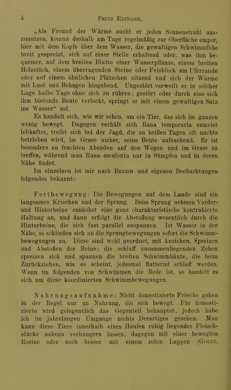 „Als Freund der Wärme sucht er jeden Sonnenstrahl aus- zunutzen, kommt deshalb am Tage regelmäßig zur Oberfläche empor, hier mit dem Kopfe über dem Wasser, die gewaltigen Schwimmfüße breit gespreizt, sich auf einer Stelle erhaltend oder, was ihm be- quemer, auf dem breiten Blatte einer Wasserpflanze, einem breiten Holzstück, einem überragenden Steine oder Felsblock am Uferrande oder auf einem ähnlichen Plätzchen sitzend und sich der Wärme mit Lust und Behagen hingebend. Ungestört verweilt er in solcher Lage halbe Tage ohne sich zu rühren; gestört oder durch eine sich ihm bietende Beute verlockt, springt er mit einem gewaltigen Satz ins Wasser“ usf. Es handelt sich, wie wir sehen, um ein Tier, das sich im ganzen wenig bewegt. Dagegen verhält sich Bana temporaria zumeist lebhafter, treibt sich bei der Jagd, die an heißen Tagen oft nachts betrieben wird, im Grase umher, seine Beute aufsuchend. Er ist besonders an feuchten Abenden auf den Wegen und im Grase zu treffen, während man Rana esculenta nur in Sümpfen und in deren Nähe findet. Im einzelnen ist mir nach Brehm und eigenen Beobachtungen folgendes bekannt: Fortbewegung: Die Bewegungen auf dem Lande sind ein langsames Kriechen und der Sprung. Beim Sprung nehmen Vorder- und Hinterbeine zunächst eine ganz charakteristische kontrahierte Haltung an, und dann erfolgt die Abstoßung wesentlich durch die Hinterbeine, die sich fast parallel anspannen. Ist Wasser in der Nähe, so schließen sich an die Sprungbewegungen sofort die Schwimm- bewegungen an. Diese sind wohl geordnet, mit Anziehen, Spreizen und Abstoßen der Beine; die schlaff zusammenliegenden Zehen spreizen sich und spannen die breiten Schwimmhäute, die beim Zurückziehen, wie es scheint, jedesmal flatternd schlaff werden. Wenn im folgenden von Schwimmen die Bede ist, so handelt es sich um diese koordinierten Schwimmbewegungen. Nahrungsaufnahme: Nicht domestizierte Frösche gehen in der Regel nur an Nahrung, die sich bewegt. Für domesti- zierte wird gelegentlich das Gegenteil behauptet, jedoch habe ich im jahrelangen Umgänge nichts Derartiges gesehen. Man kann diese Tiere innerhalb eines Haufen ruhig liegender Fleiscli- stiicke nahezu verhungern lassen, dagegen mit einer bewegten Rosine oder noch besser mit einem roten Lappen (Goltz.